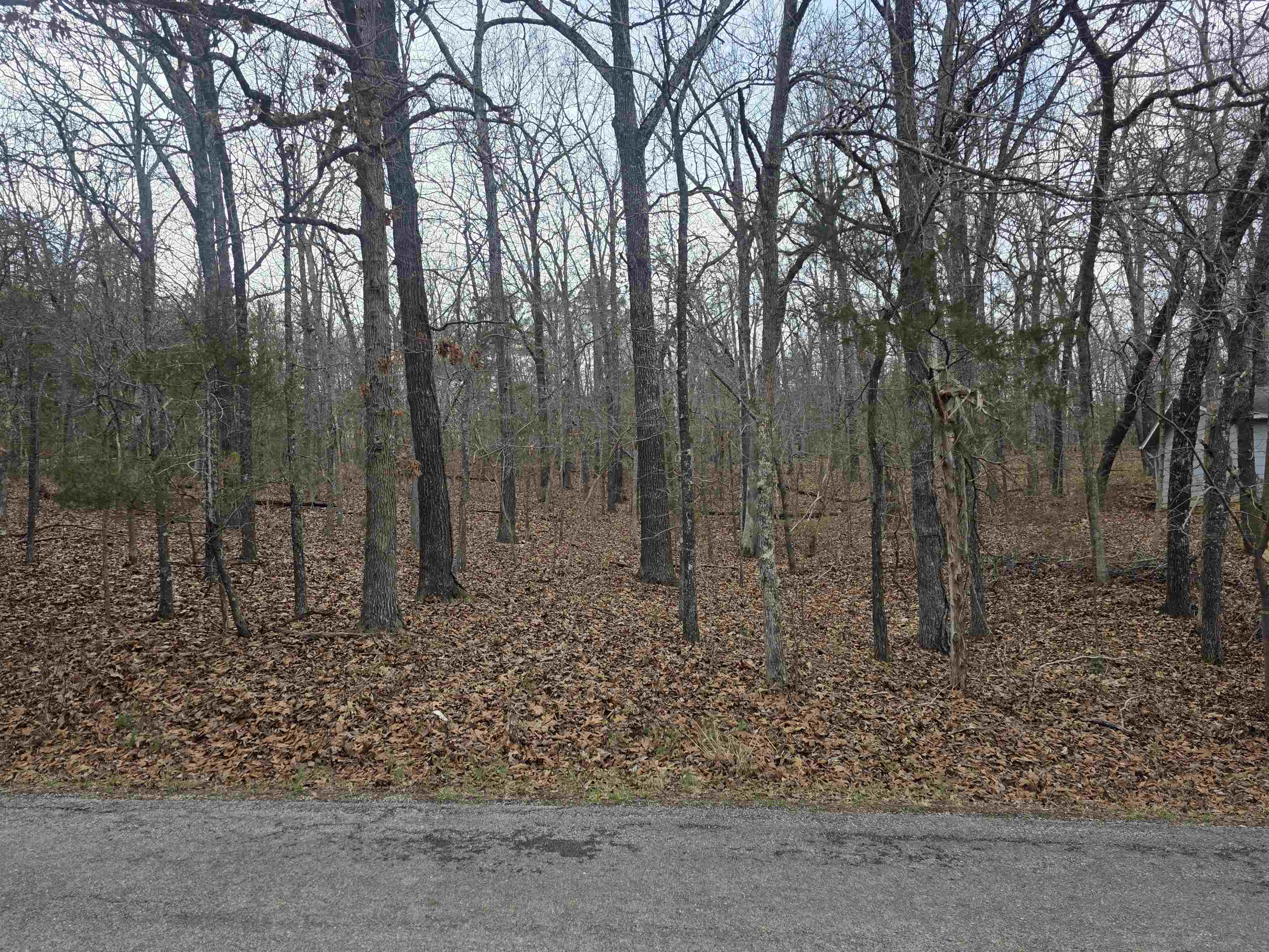 Photo 6 - Vacant Land for sale – L3 B12  Spring Water   Cherokee Village, AR