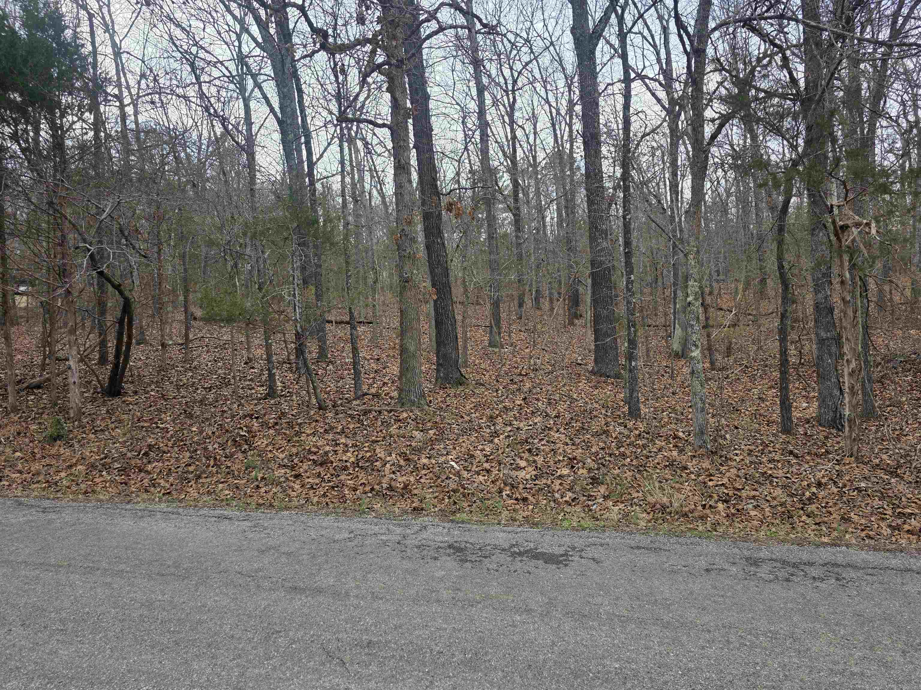 Photo 8 - Vacant Land for sale – L3 B12  Spring Water   Cherokee Village, AR