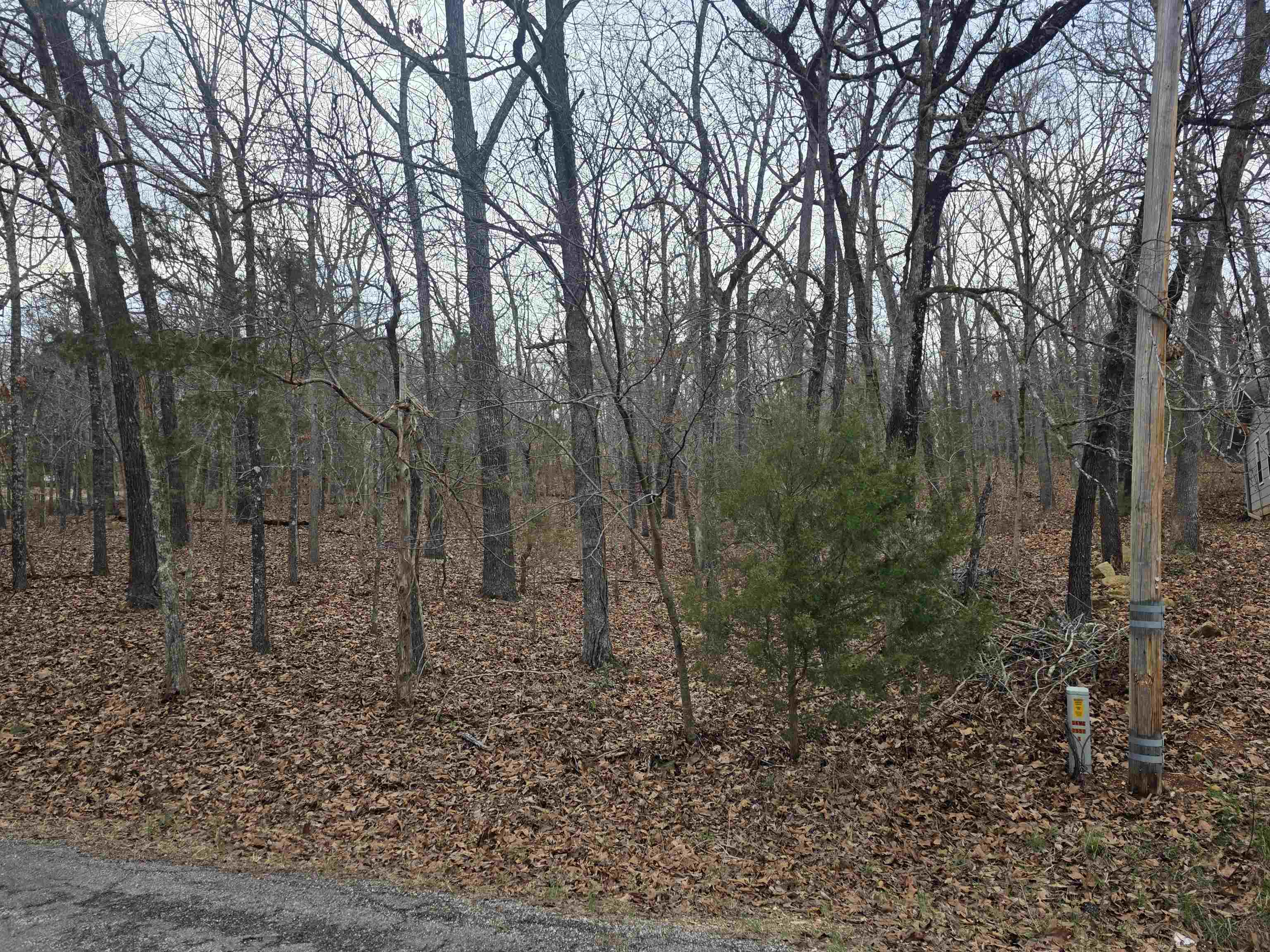 Photo 9 - Vacant Land for sale – L3 B12  Spring Water   Cherokee Village, AR