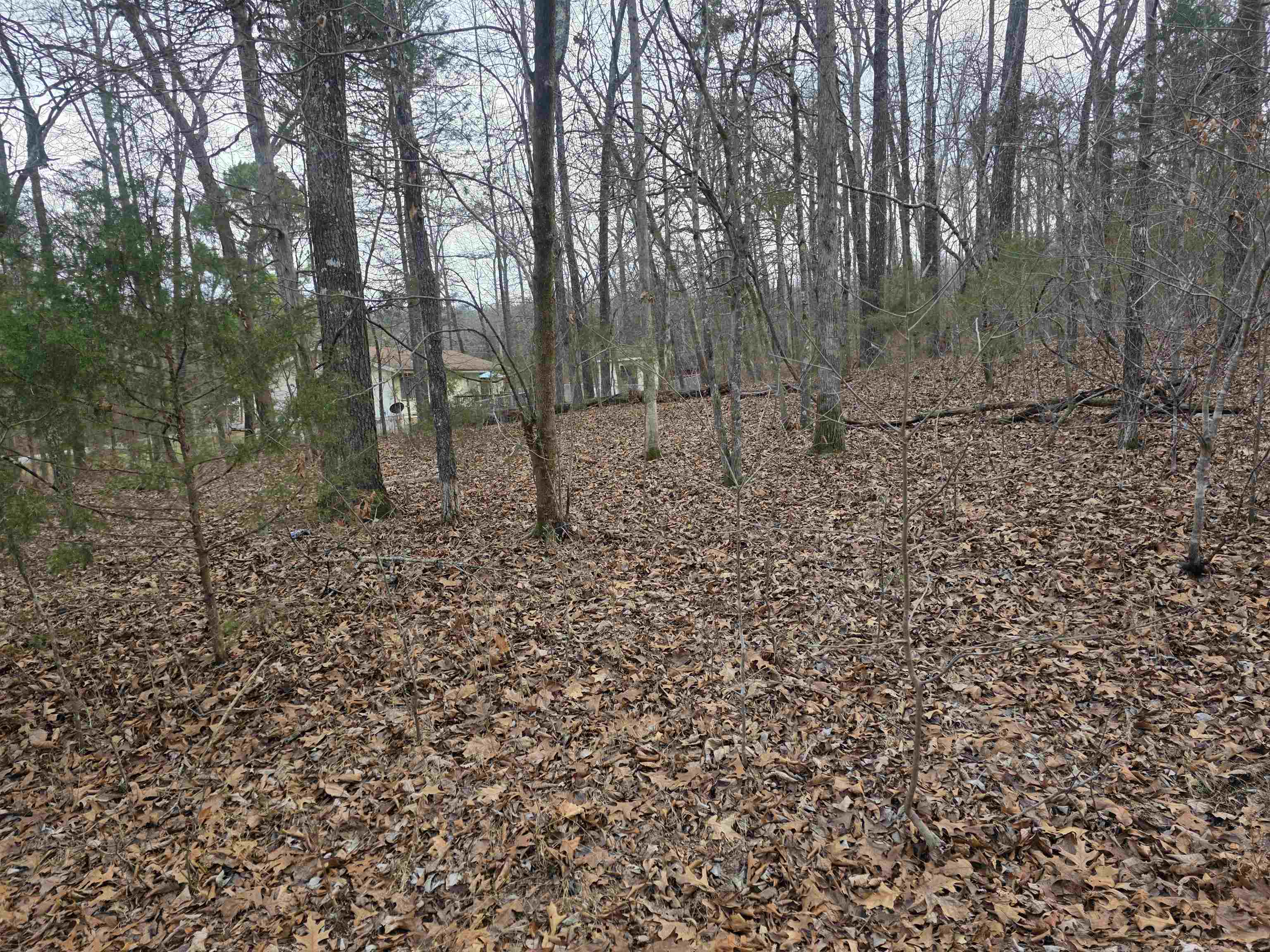 Photo 12 - Vacant Land for sale – L13 B12  Seca   Cherokee Village, AR