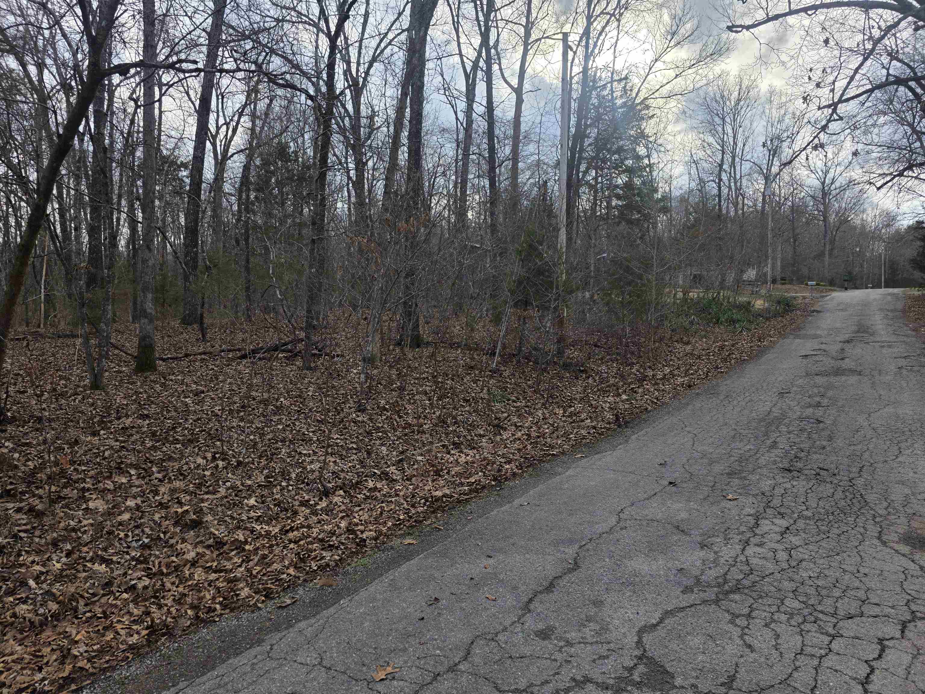 Photo 3 - Vacant Land for sale – L13 B12  Seca   Cherokee Village, AR