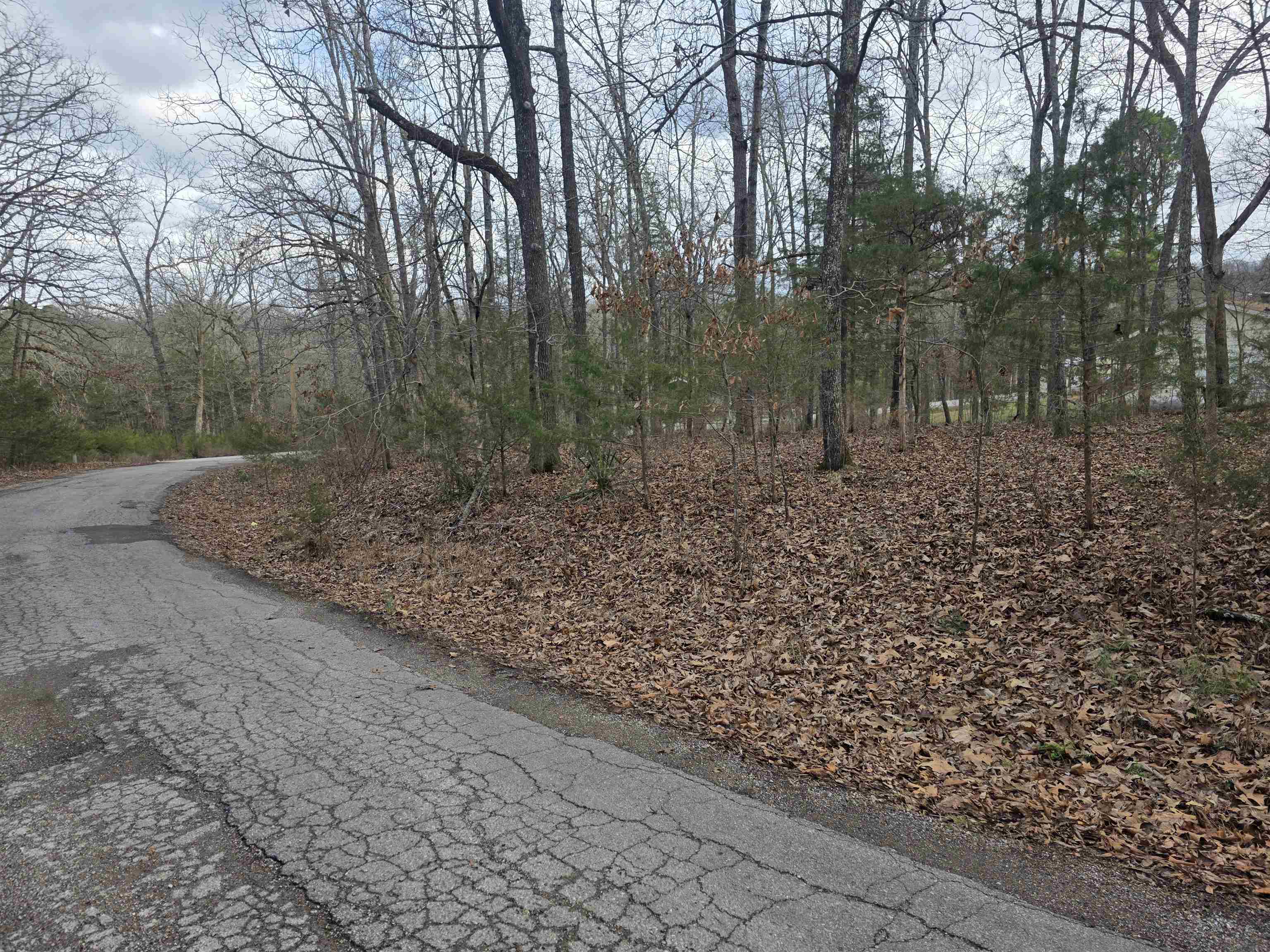 Photo 4 - Vacant Land for sale – L13 B12  Seca   Cherokee Village, AR