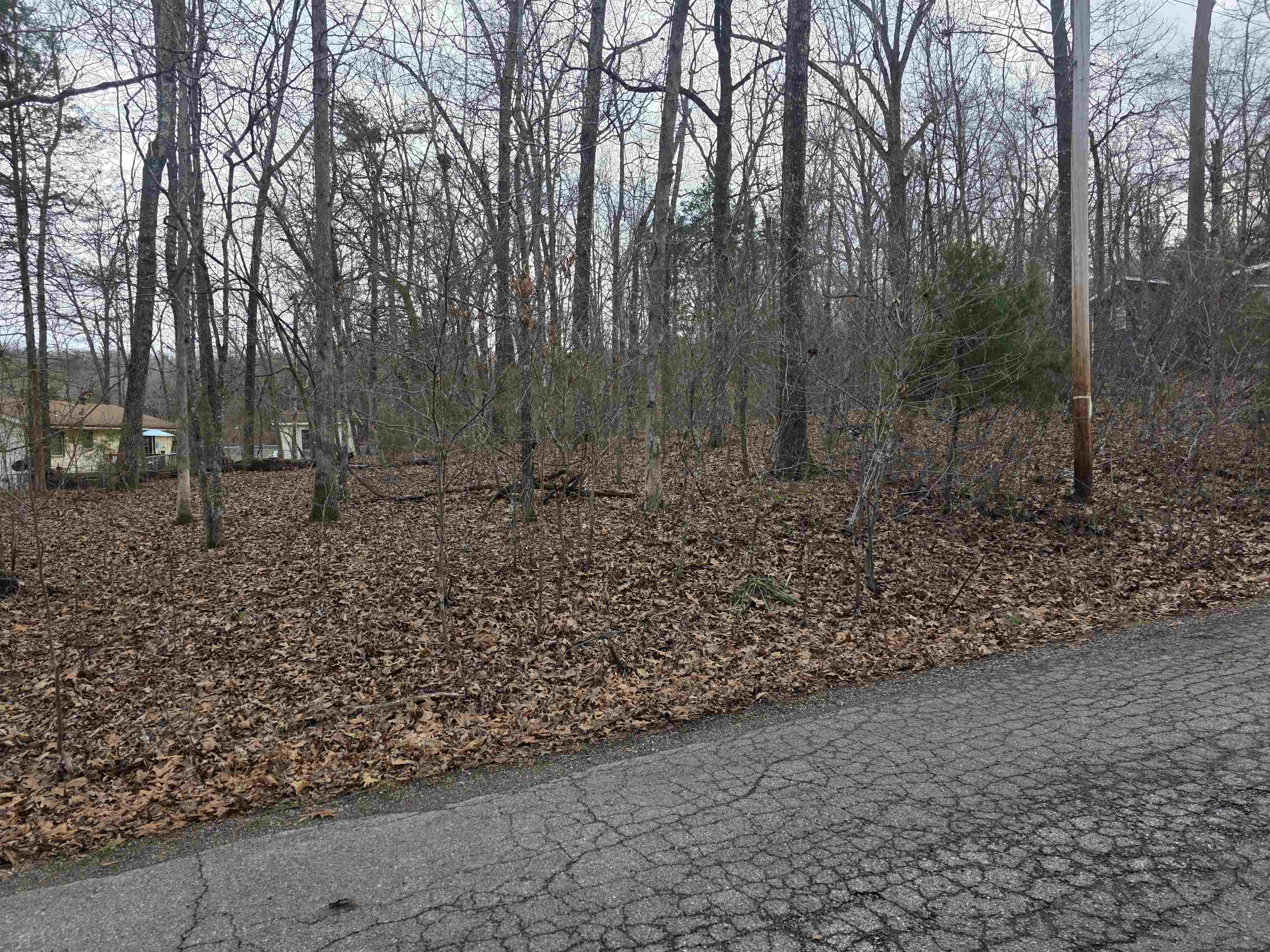 Photo 6 - Vacant Land for sale – L13 B12  Seca   Cherokee Village, AR