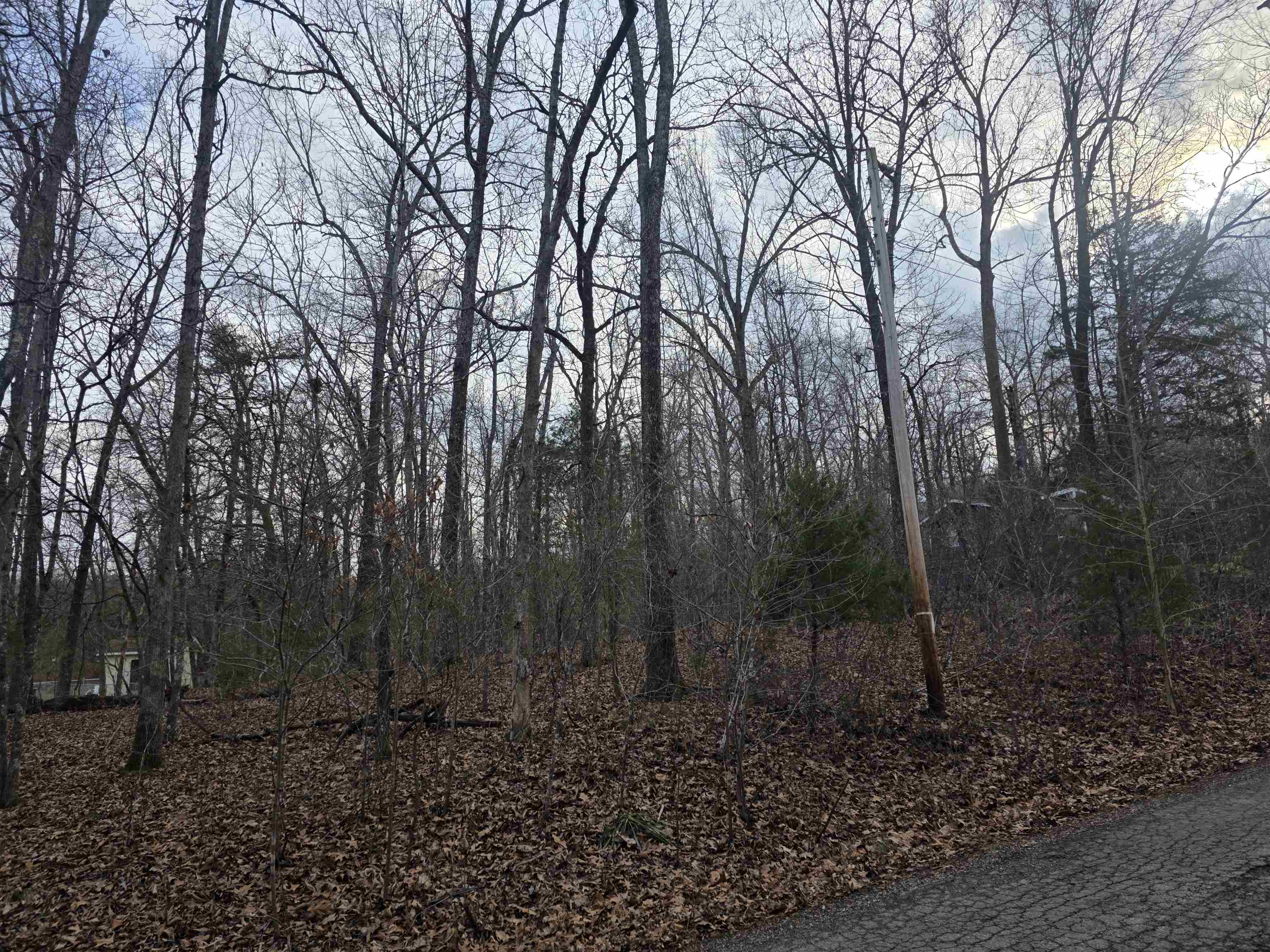 Photo 7 - Vacant Land for sale – L13 B12  Seca   Cherokee Village, AR