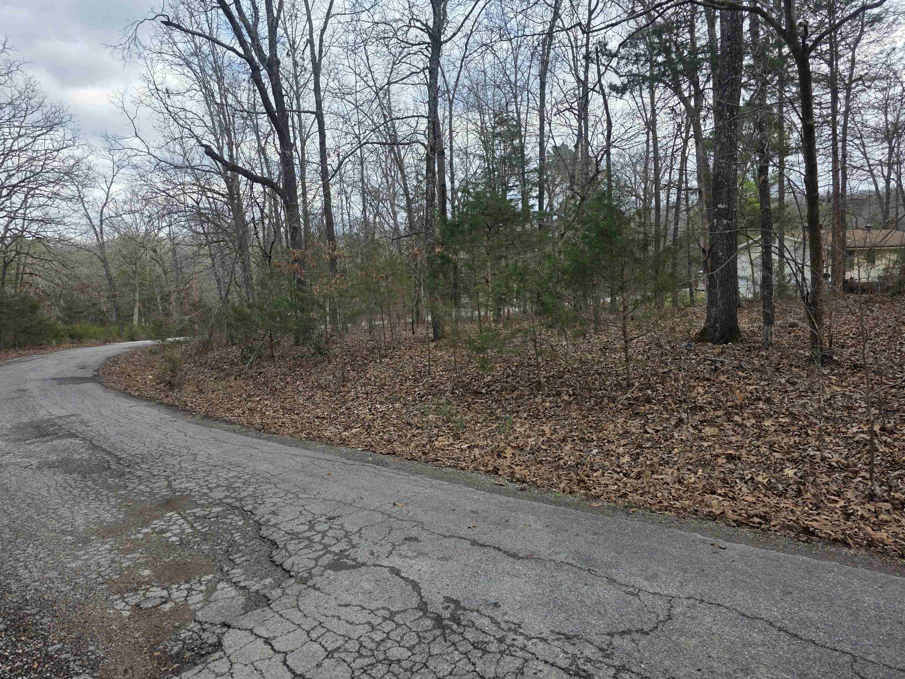 Photo 9 - Vacant Land for sale – L13 B12  Seca   Cherokee Village, AR