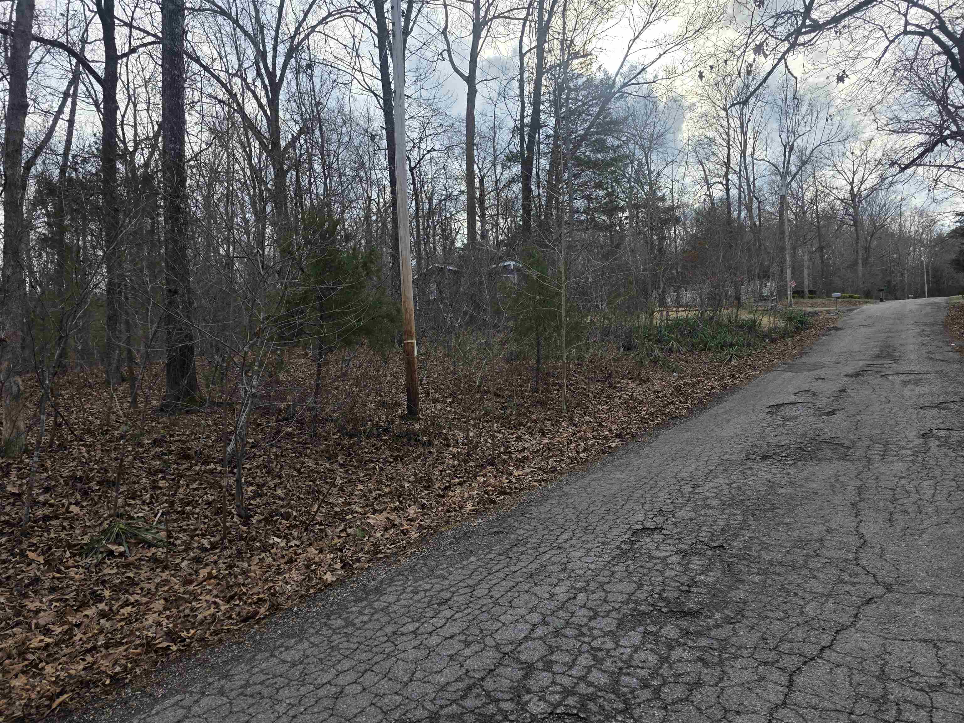 Photo 10 - Vacant Land for sale – L13 B12  Seca   Cherokee Village, AR