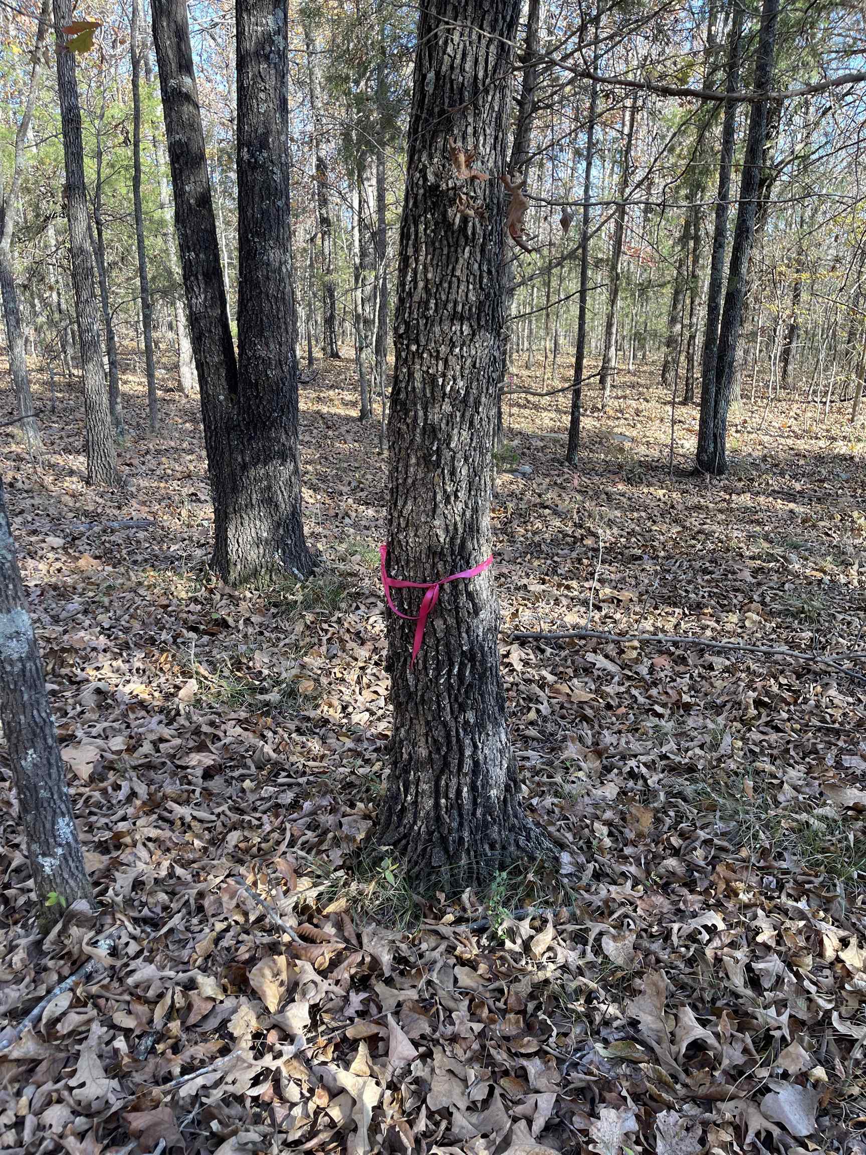 Photo 36 - Residential for sale – 743  The Day   Ash Flat, AR