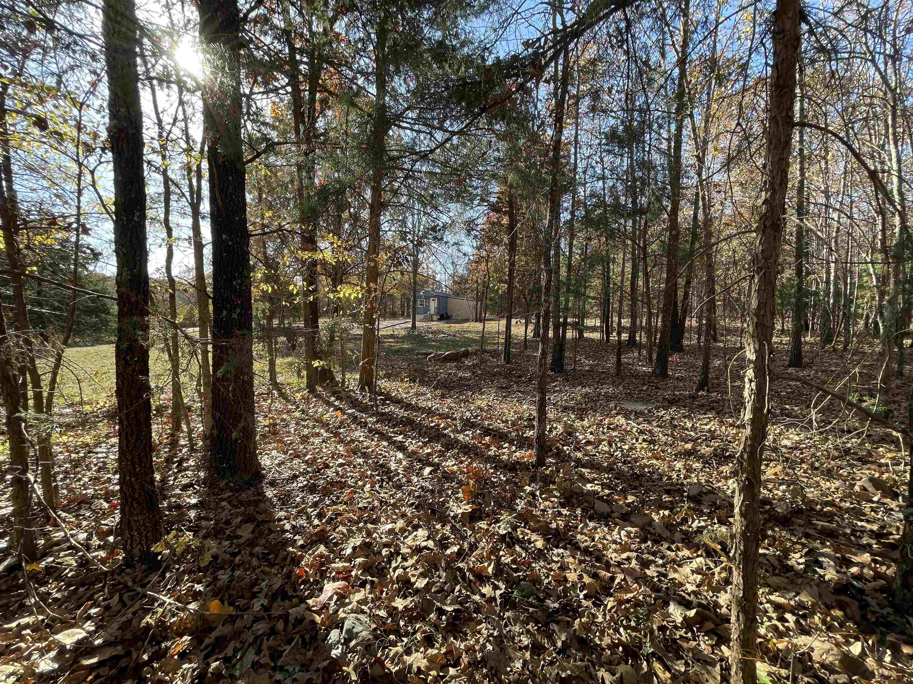 Photo 5 - Residential for sale – 743  The Day   Ash Flat, AR