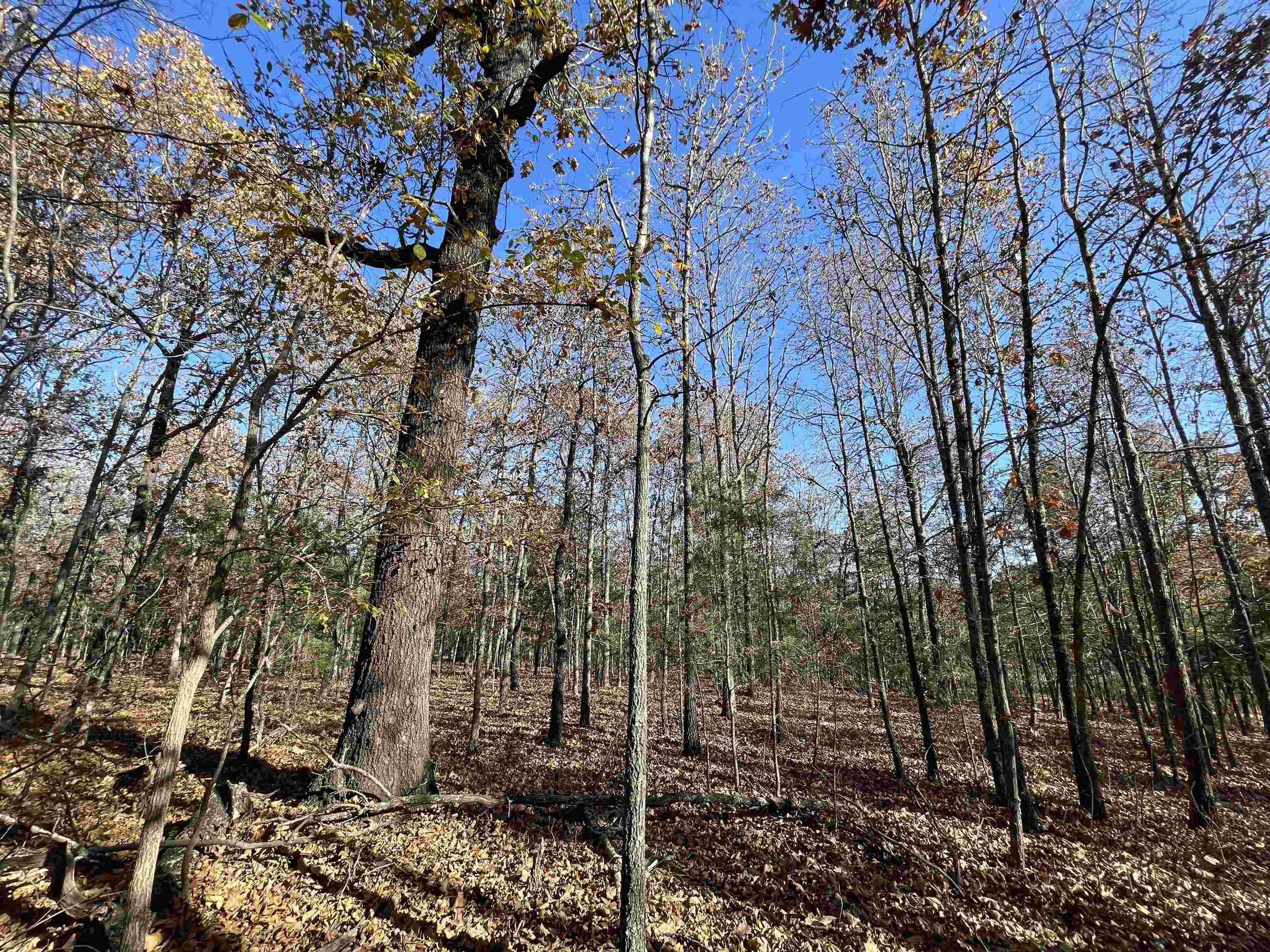 Photo 6 - Residential for sale – 743  The Day   Ash Flat, AR