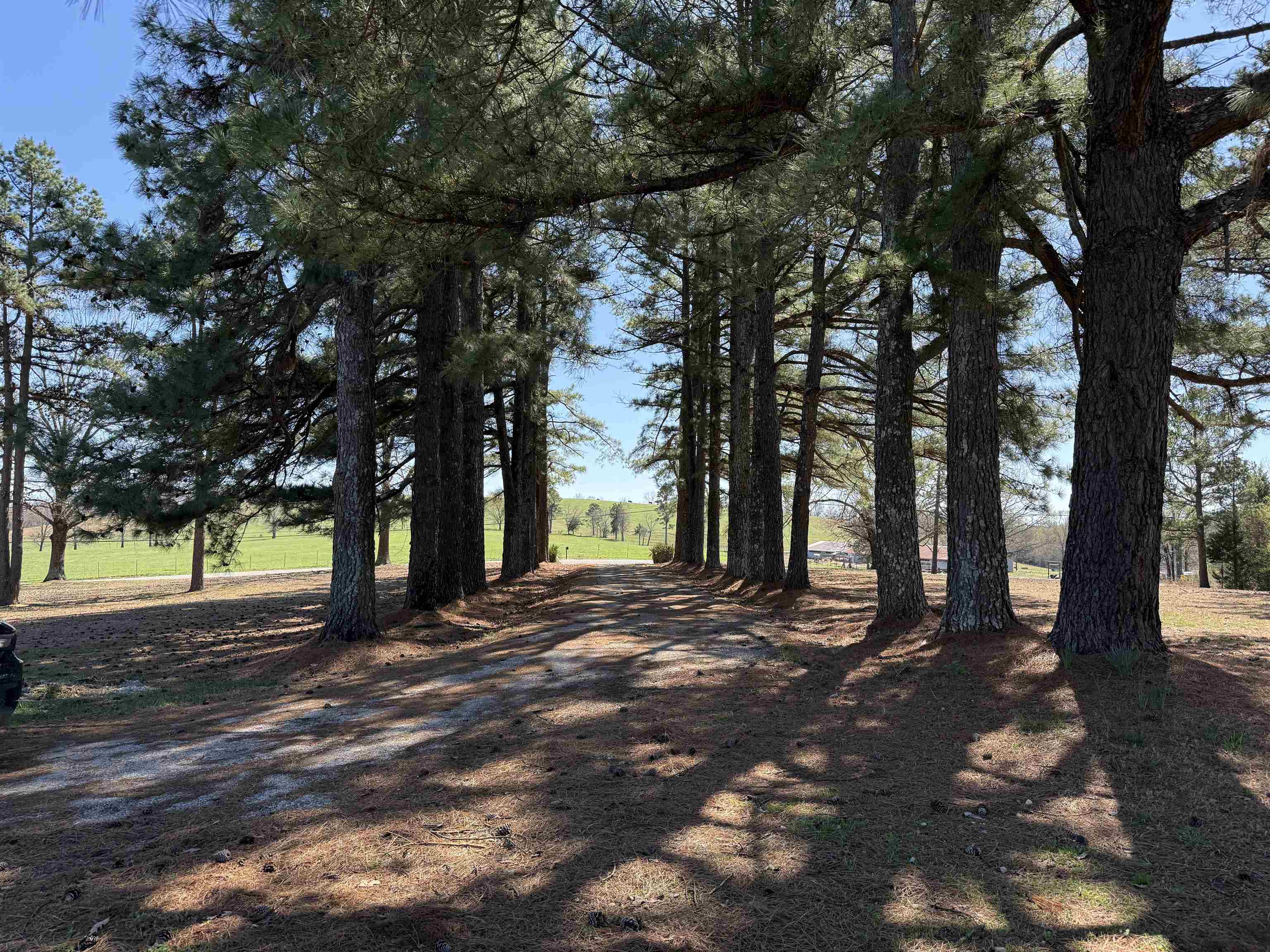 Photo 24 - Residential for sale – 2373  West Road   Mount Pleasant, AR