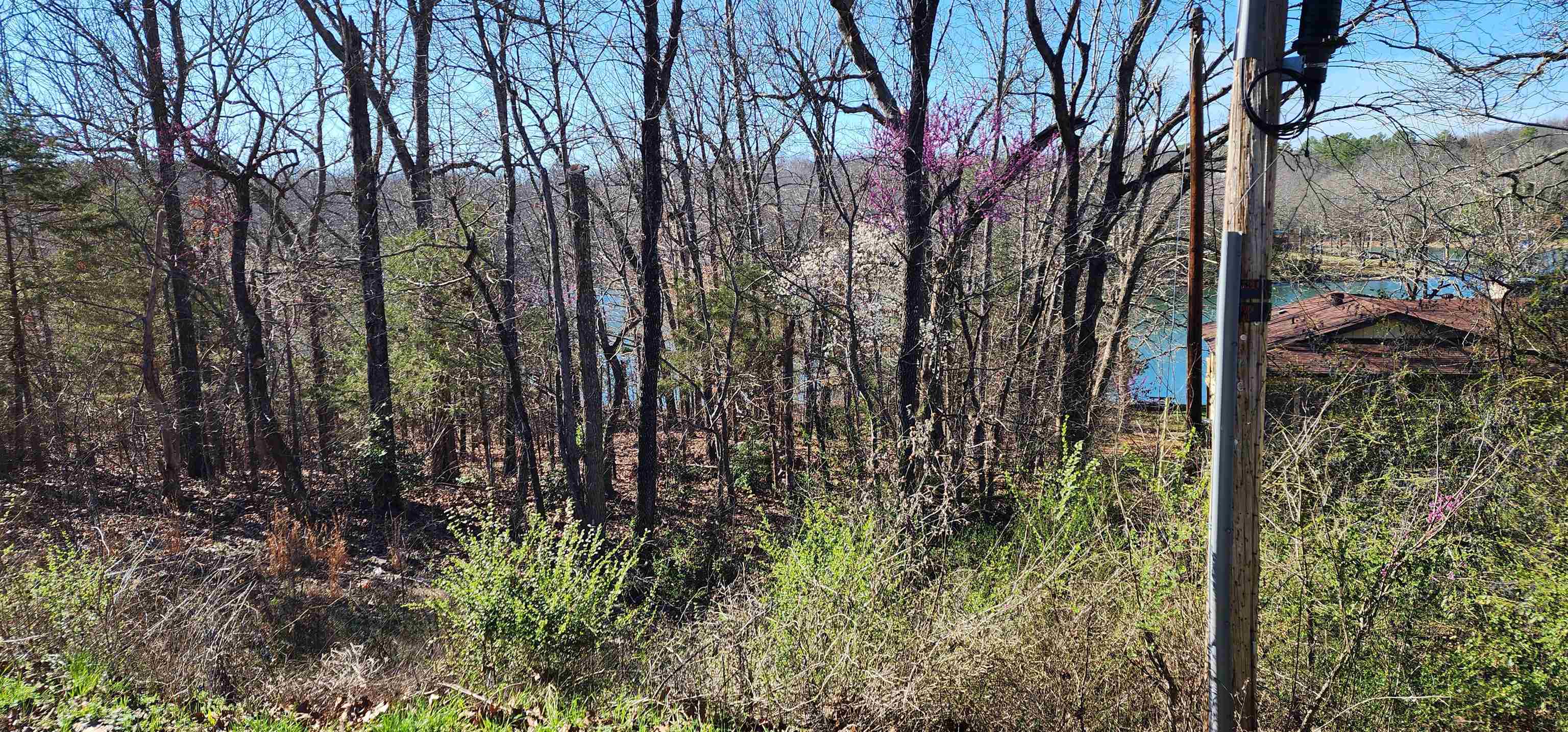 Photo 2 - Vacant Land for sale – TBD  Isleta   Cherokee Village, AR