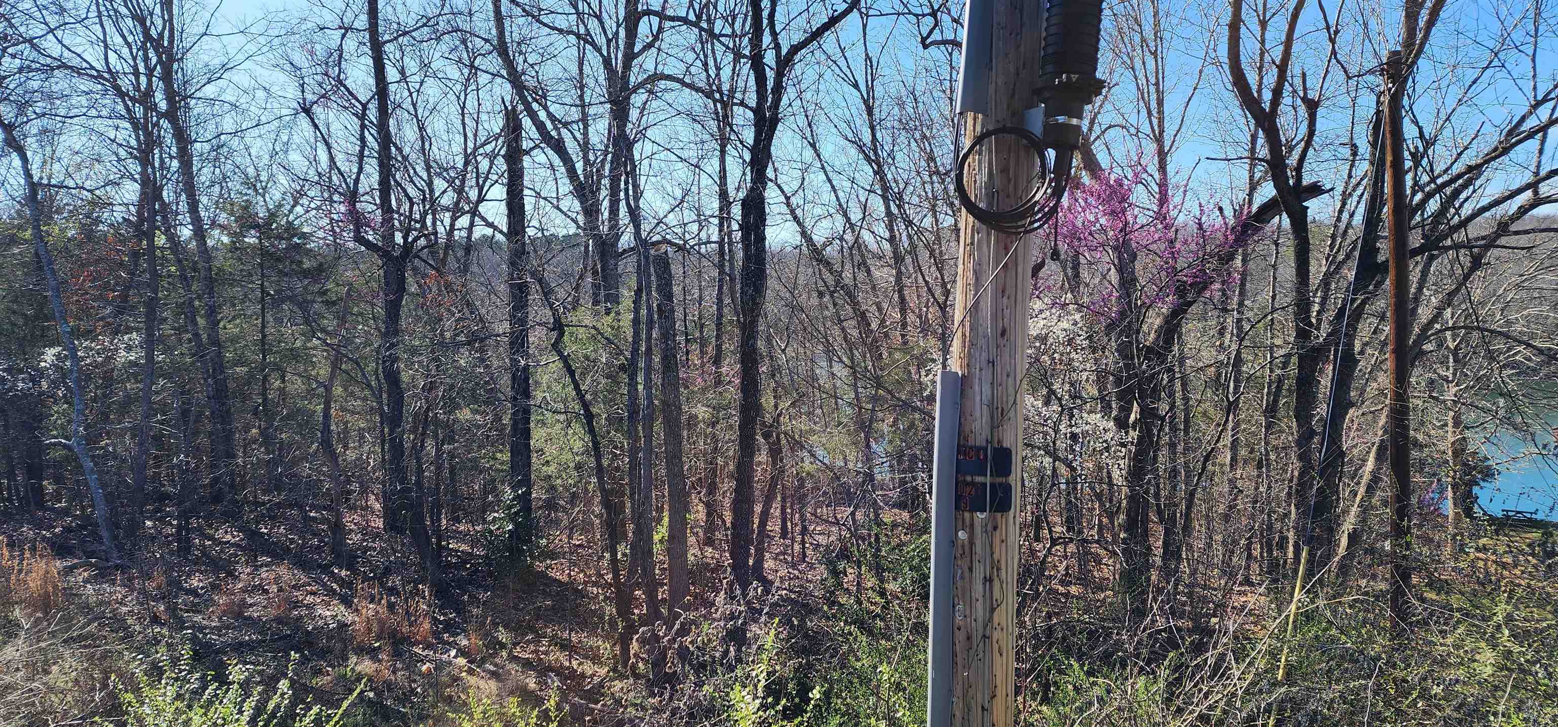 Photo 3 - Vacant Land for sale – TBD  Isleta   Cherokee Village, AR