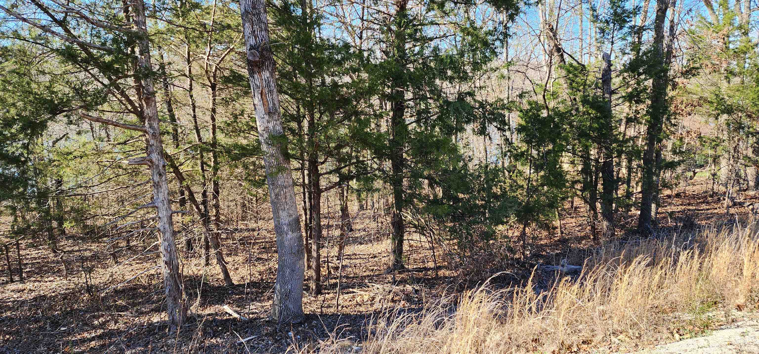 Photo 4 - Vacant Land for sale – TBD  Isleta   Cherokee Village, AR