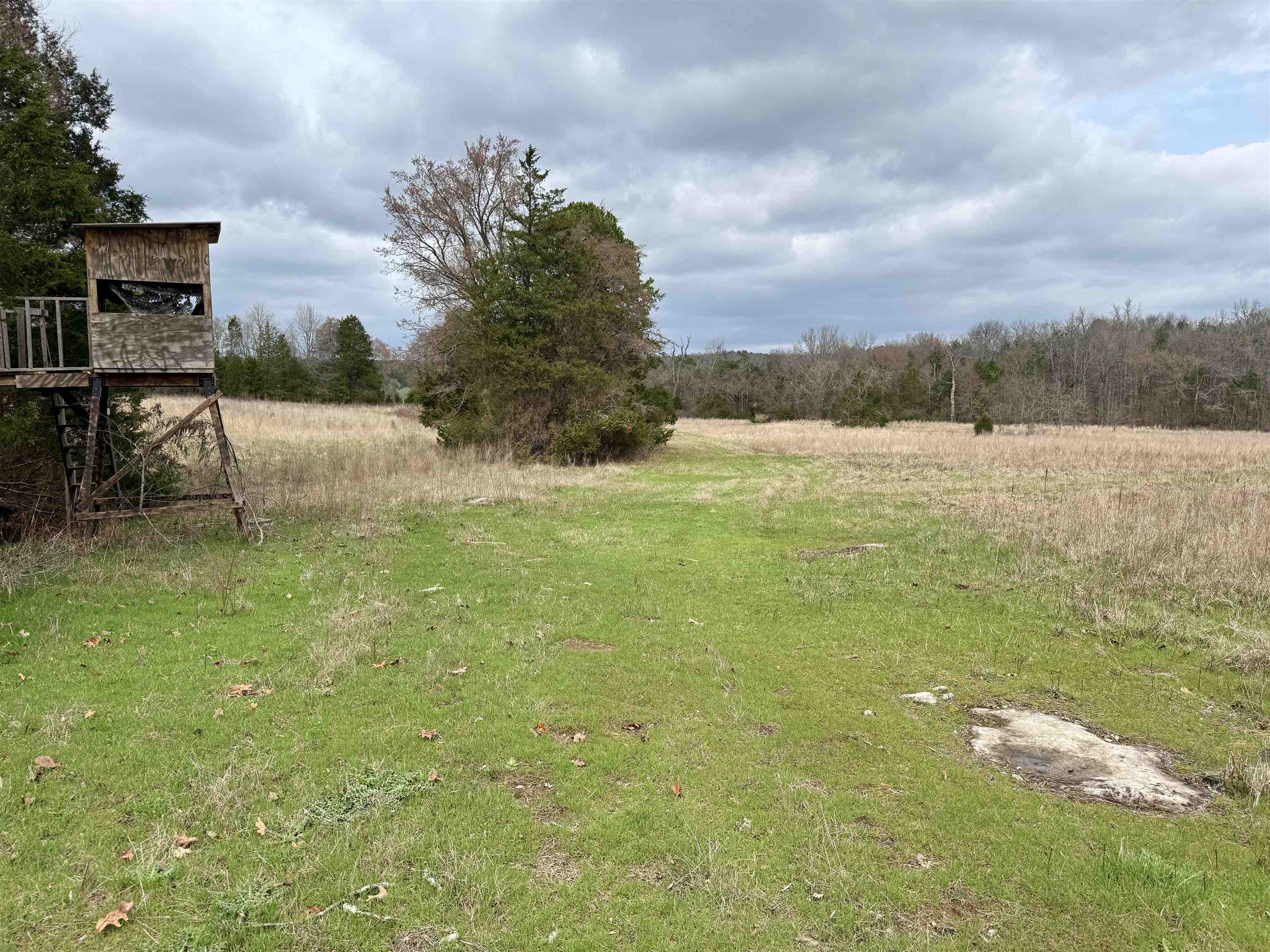 Photo 3 - Vacant Land for sale – 82A  Gorby Road   Calico Rock, AR