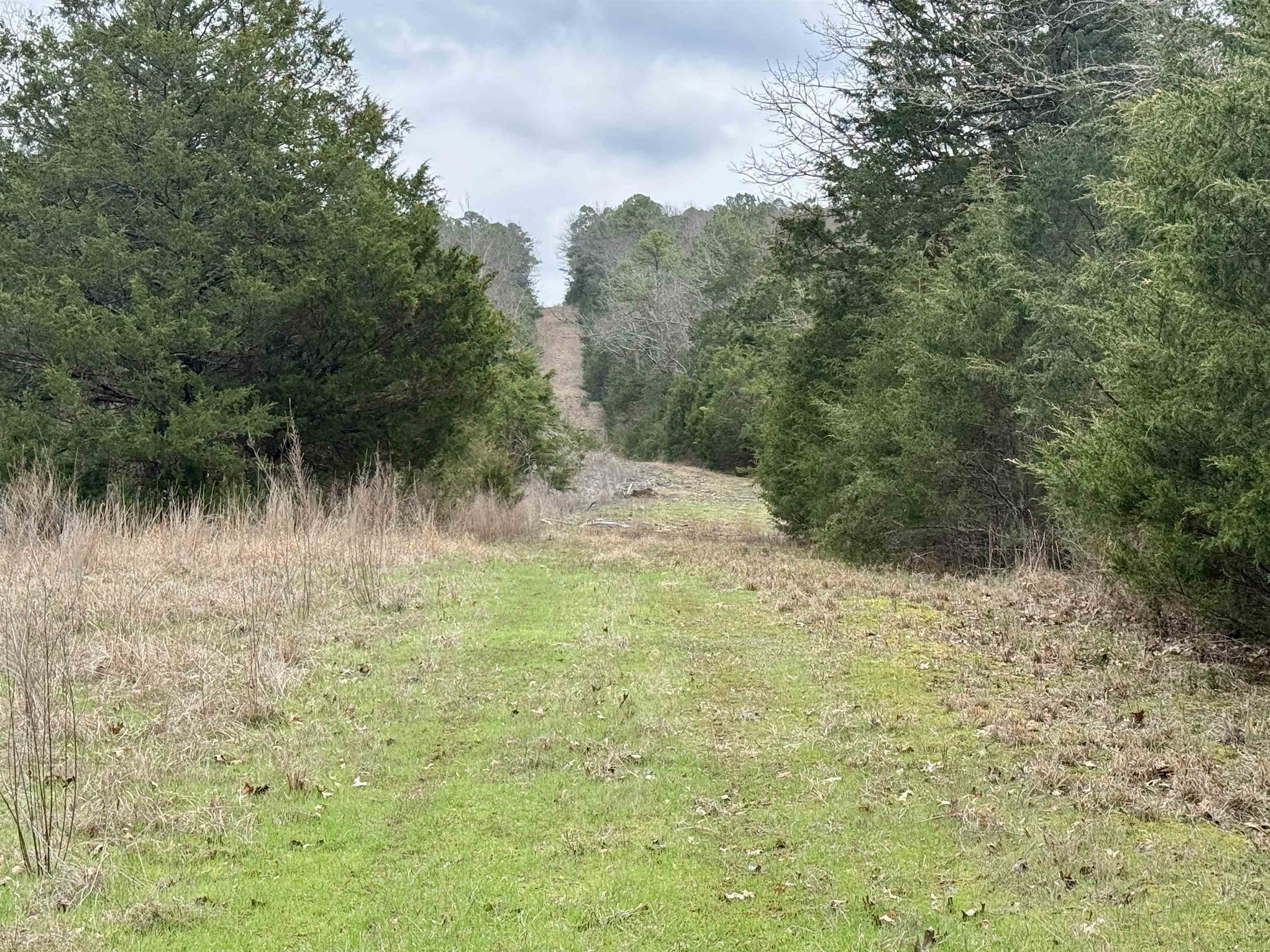 Photo 4 - Vacant Land for sale – 82A  Gorby Road   Calico Rock, AR