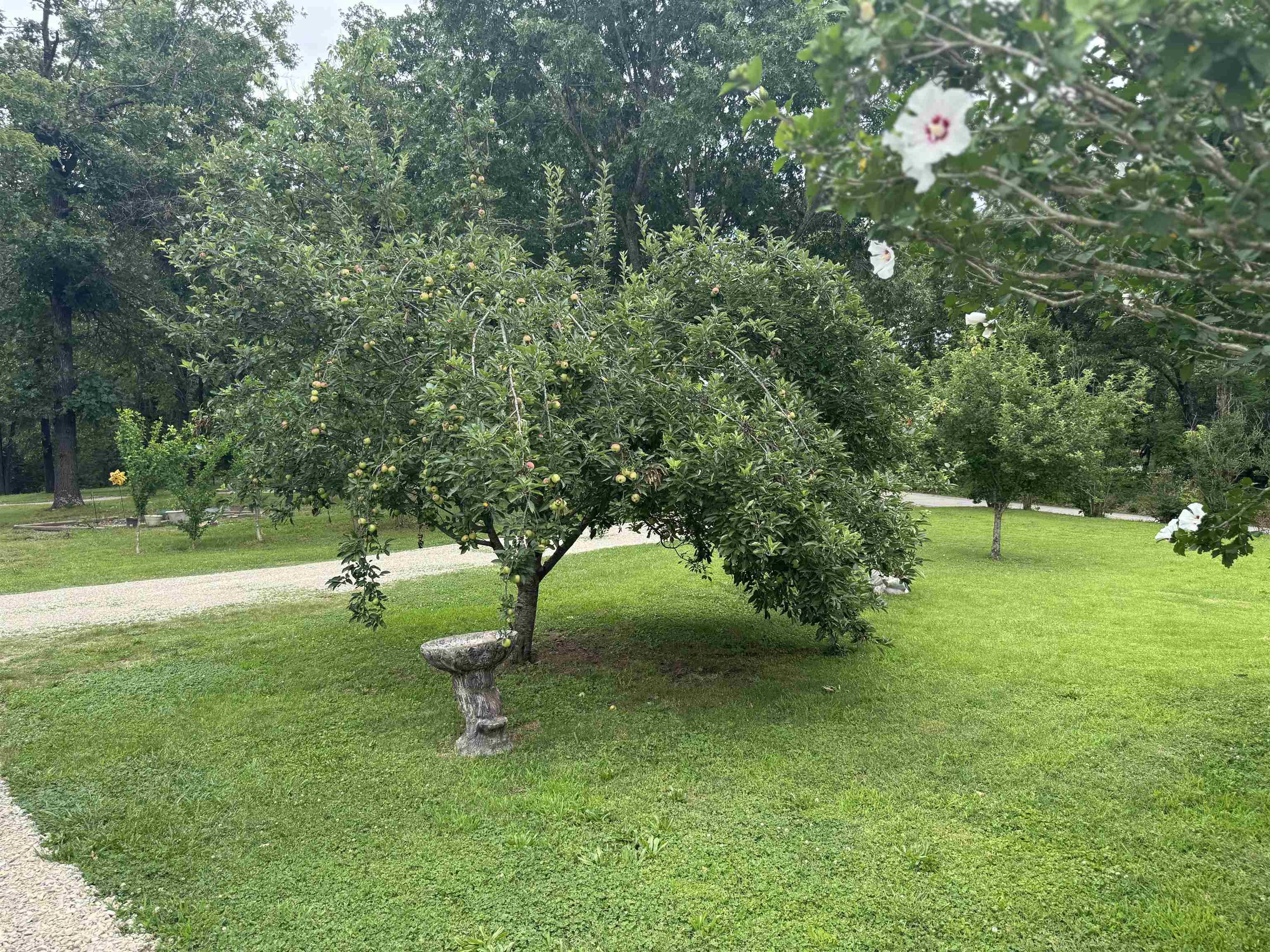 Photo 46 - Residential for sale – 14  Arkansaw Traveller   Highland, AR