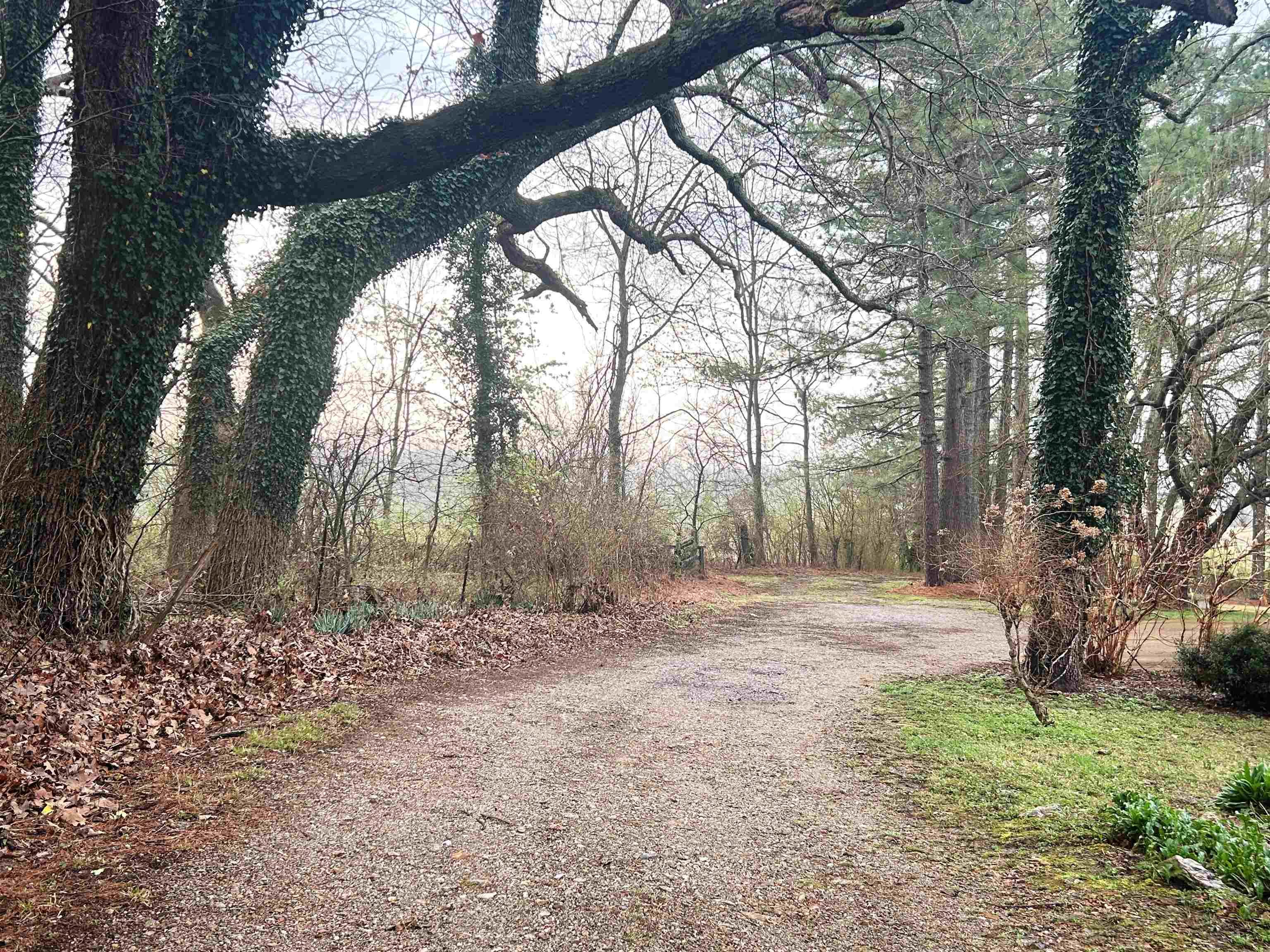 Photo 3 - Residential for sale – 404  Evans   Ash Flat, AR