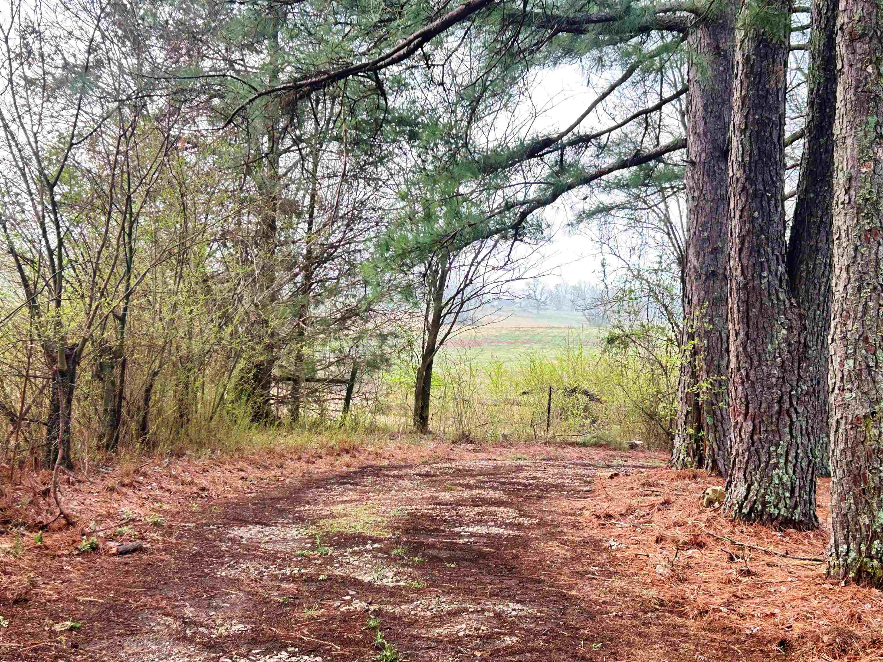 Photo 31 - Residential for sale – 404  Evans   Ash Flat, AR