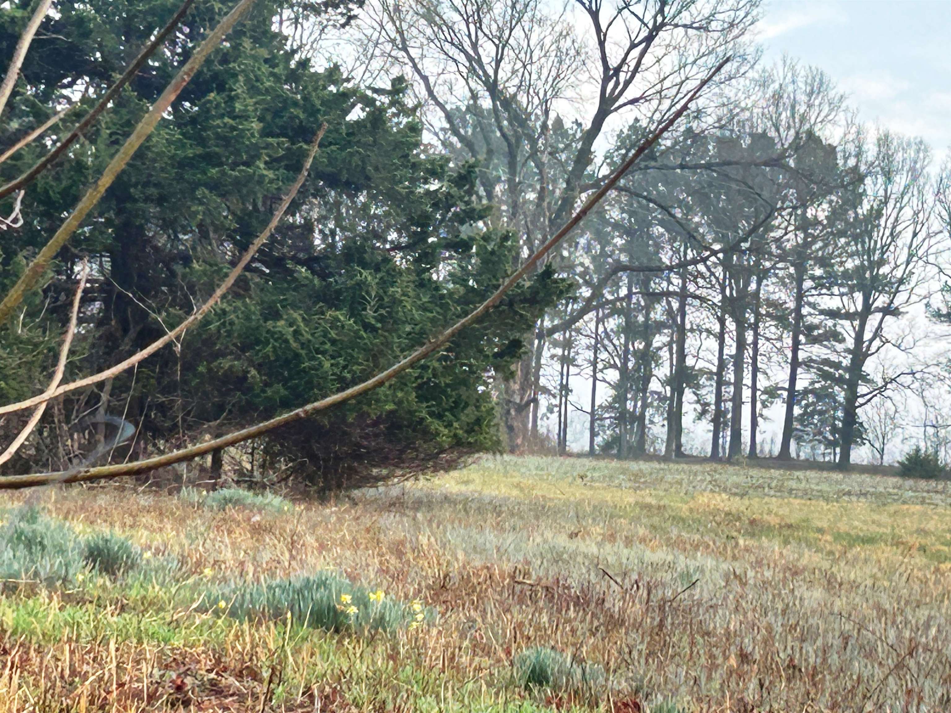 Photo 43 - Residential for sale – 404  Evans   Ash Flat, AR