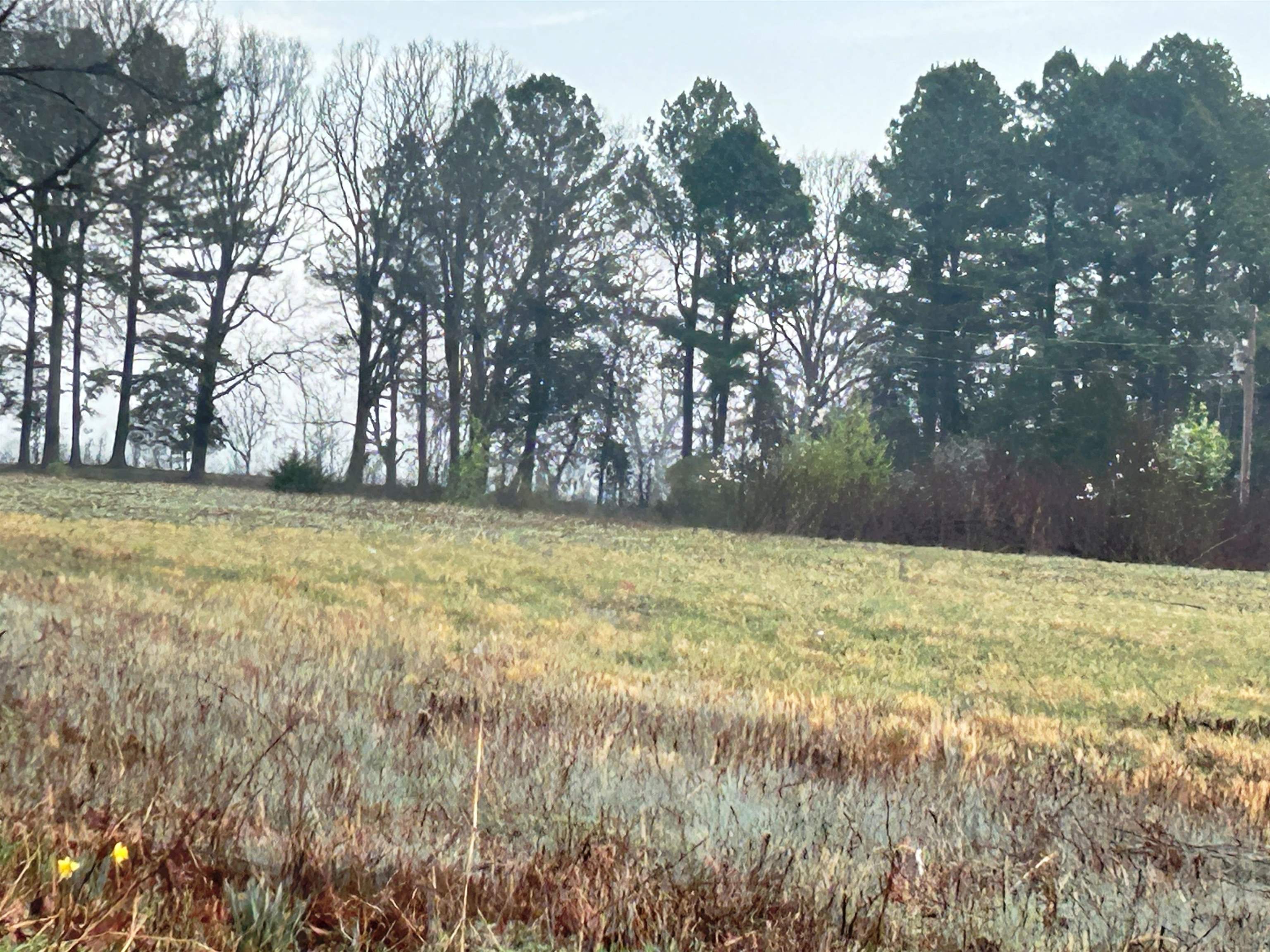 Photo 45 - Residential for sale – 404  Evans   Ash Flat, AR