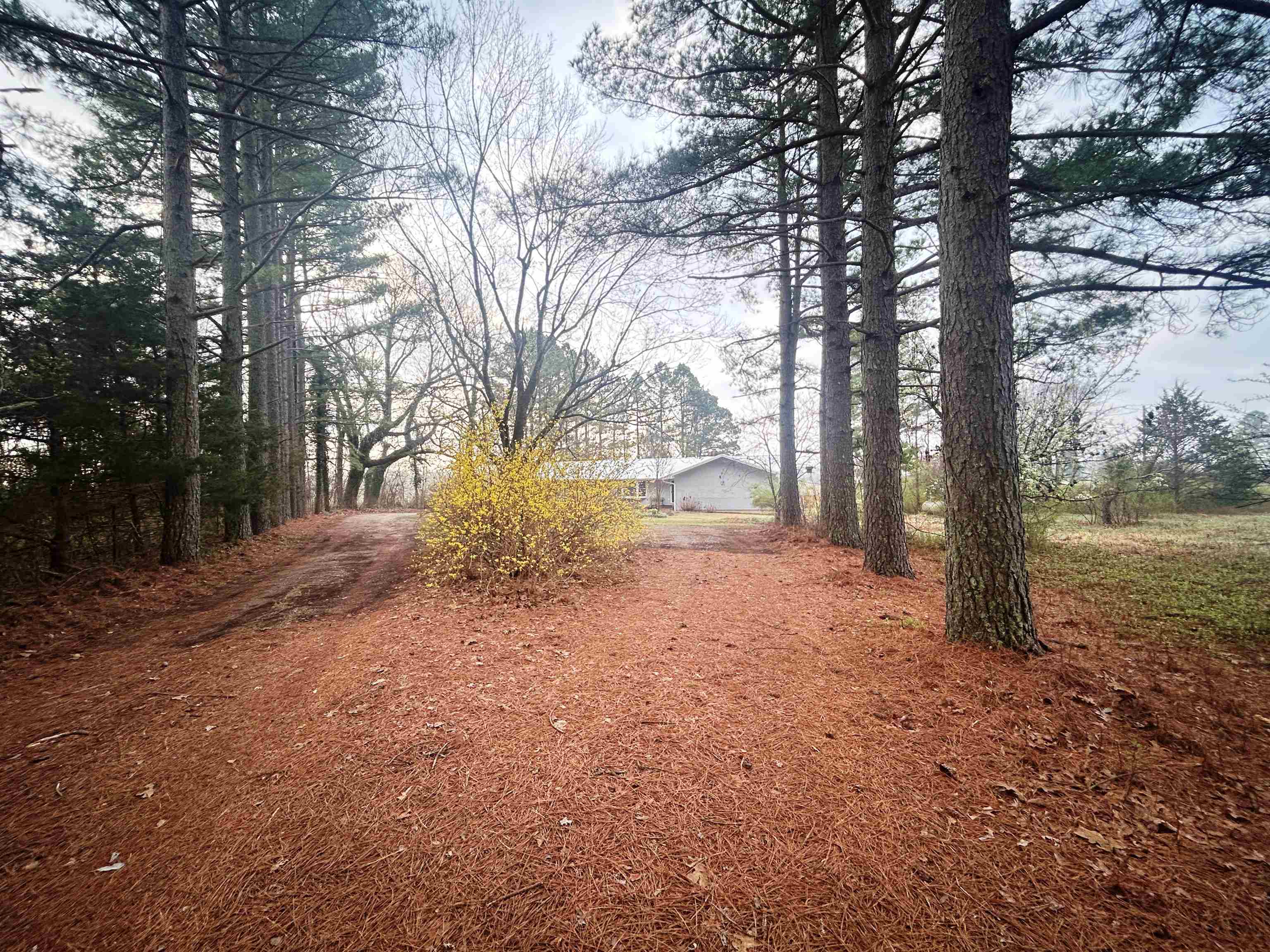 Photo 46 - Residential for sale – 404  Evans   Ash Flat, AR