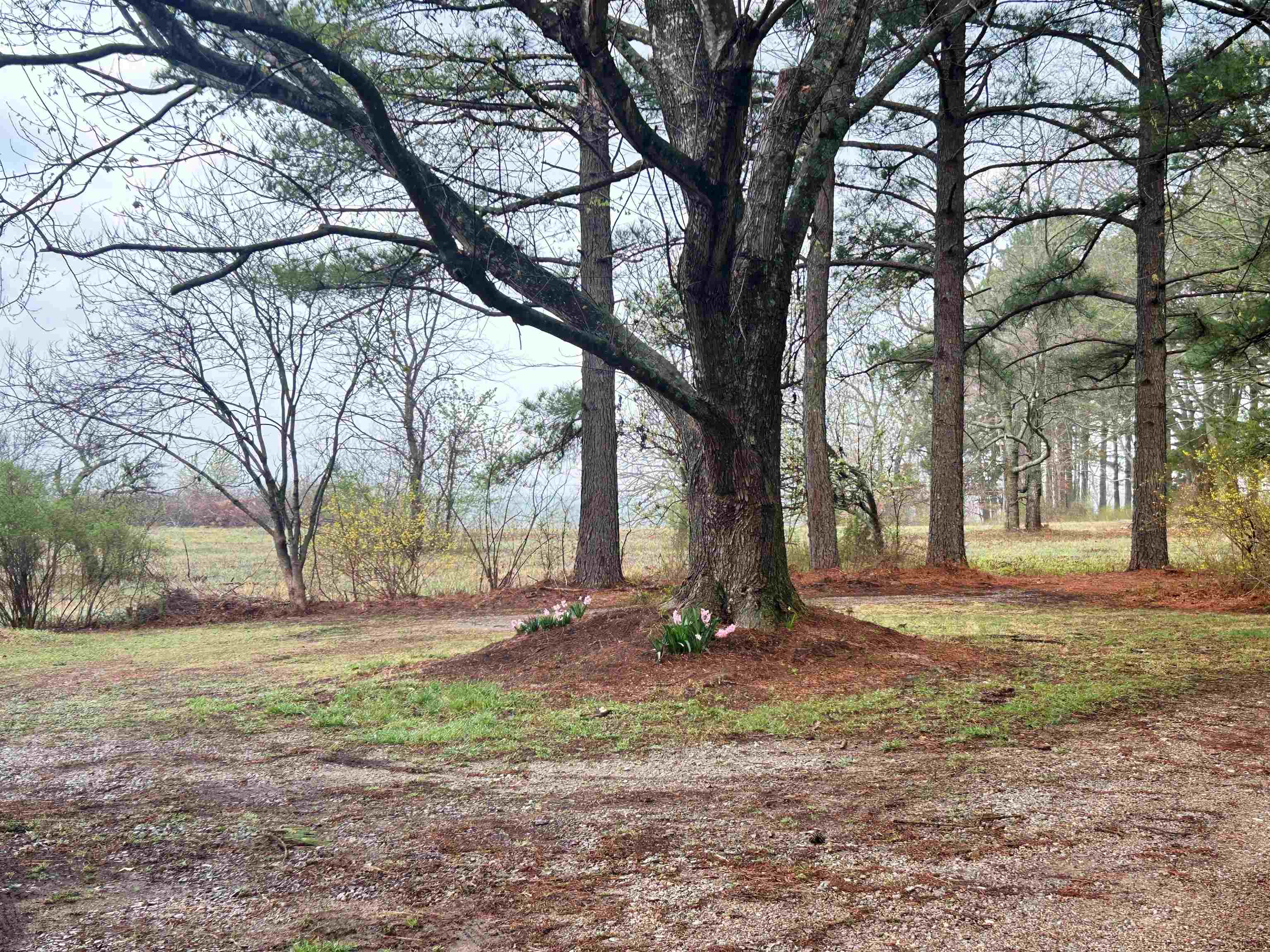 Photo 49 - Residential for sale – 404  Evans   Ash Flat, AR