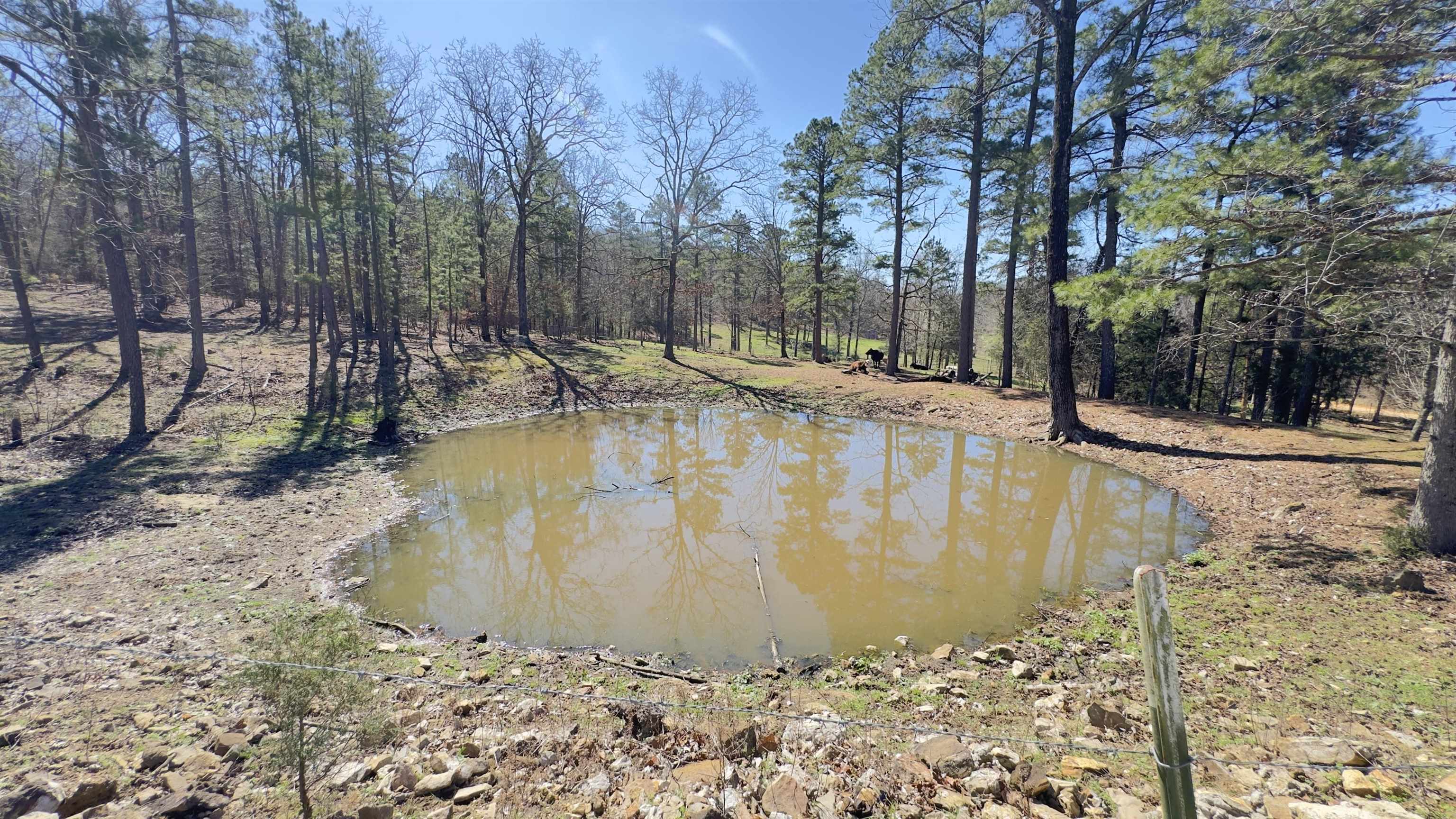 Photo 15 - Residential for sale – 298  Red Lamb   Melbourne, AR