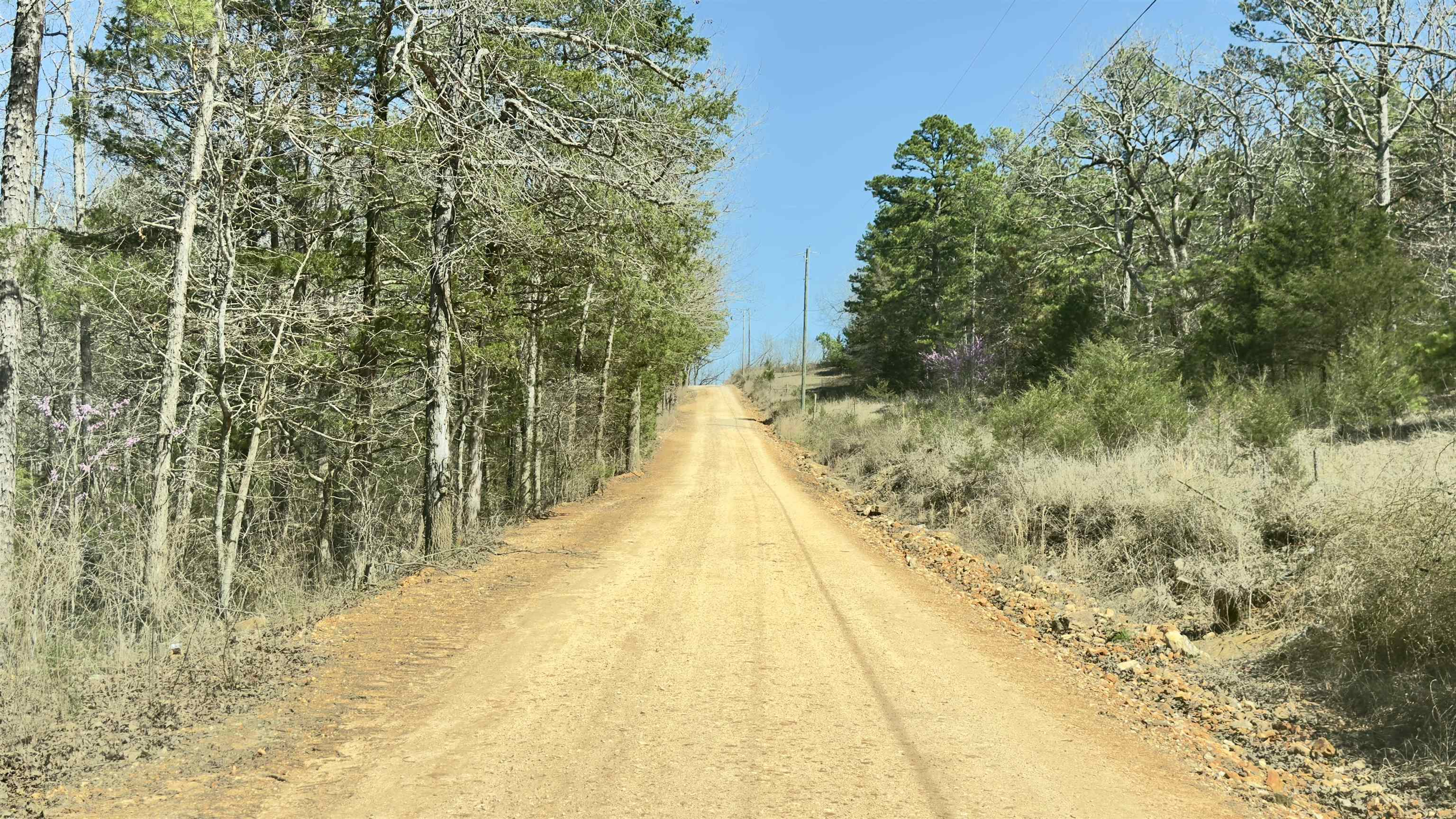 Photo 11 - Vacant Land for sale – 8  Red Lamb   Melbourne, AR