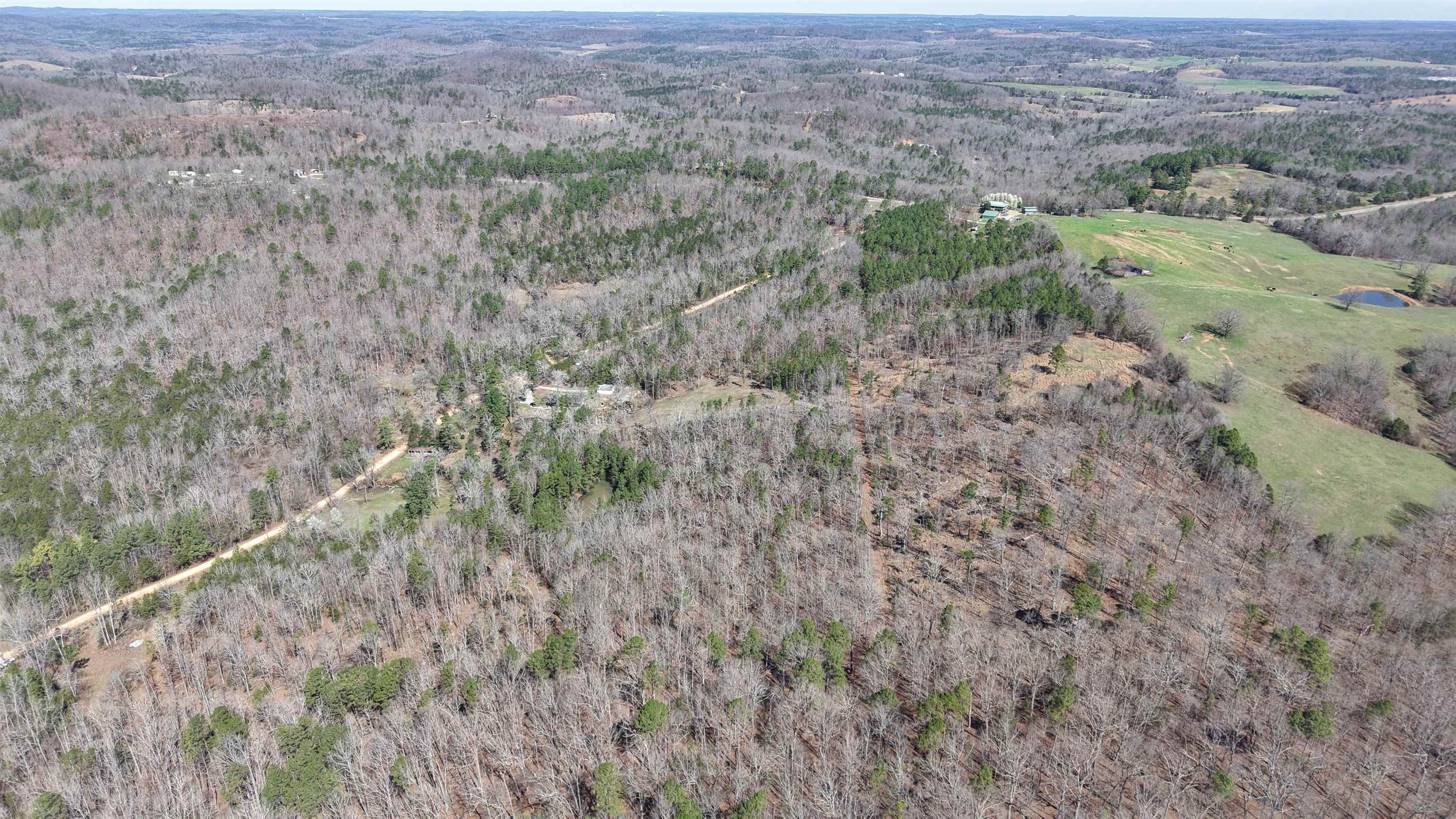 Photo 3 - Vacant Land for sale – 8  Red Lamb   Melbourne, AR