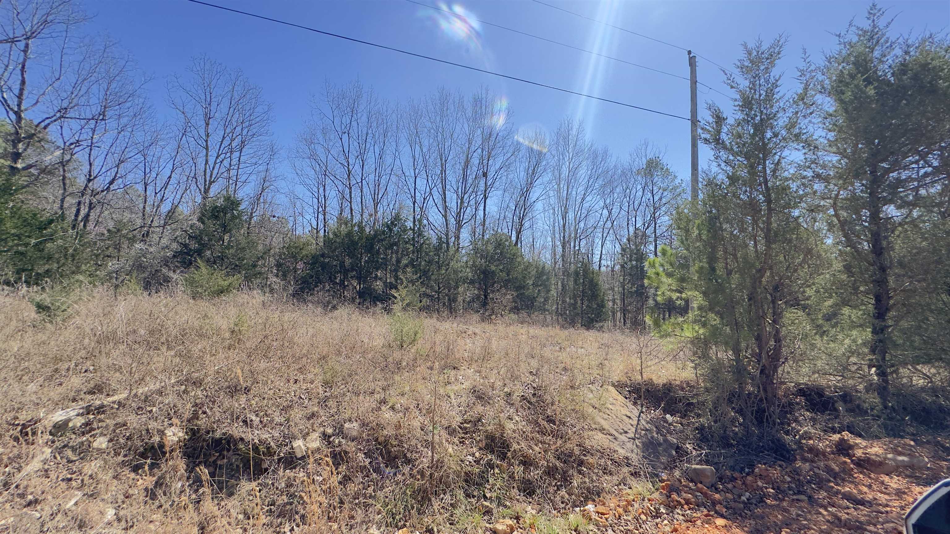 Photo 6 - Vacant Land for sale – 8  Red Lamb   Melbourne, AR