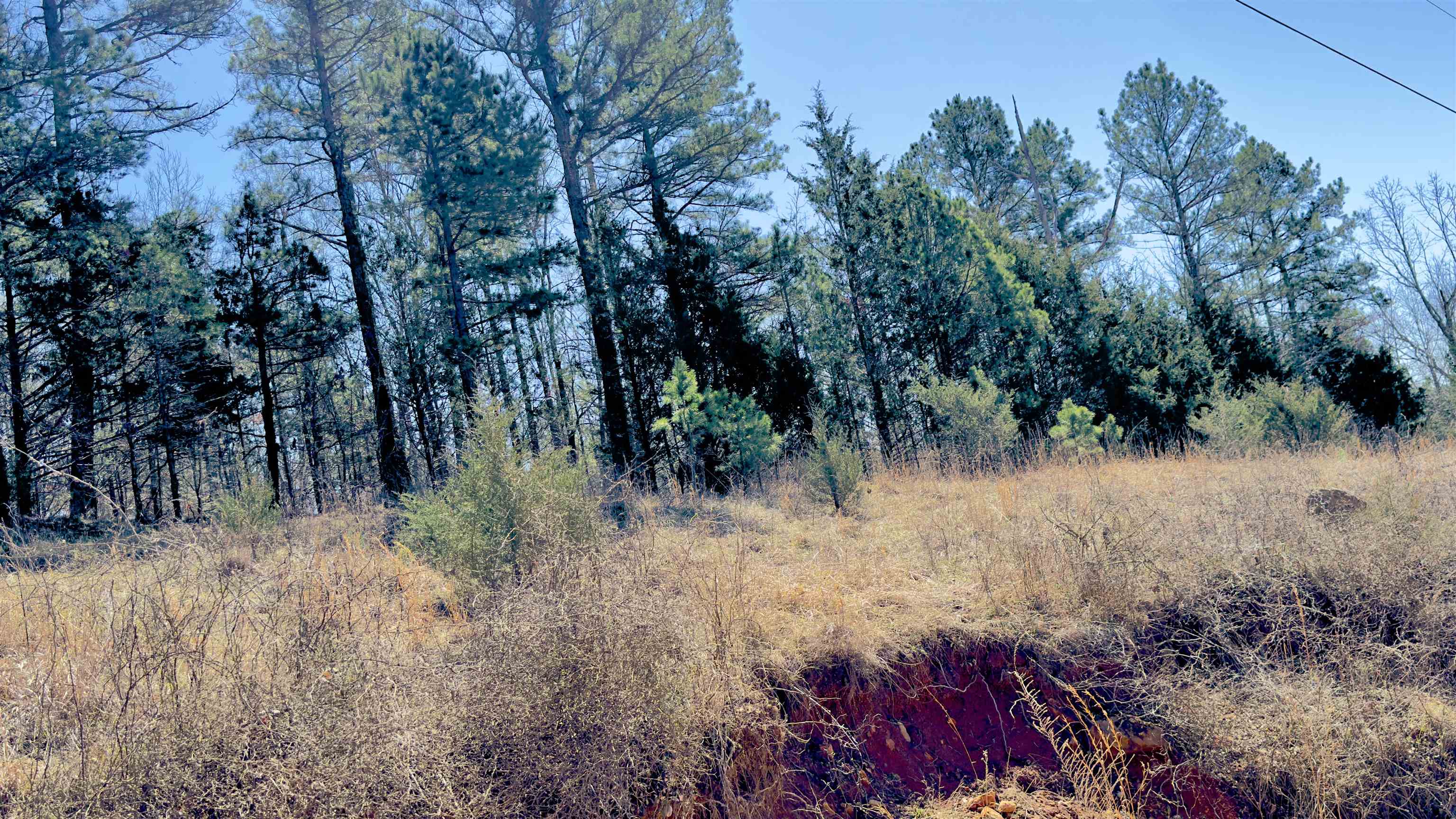 Photo 8 - Vacant Land for sale – 8  Red Lamb   Melbourne, AR