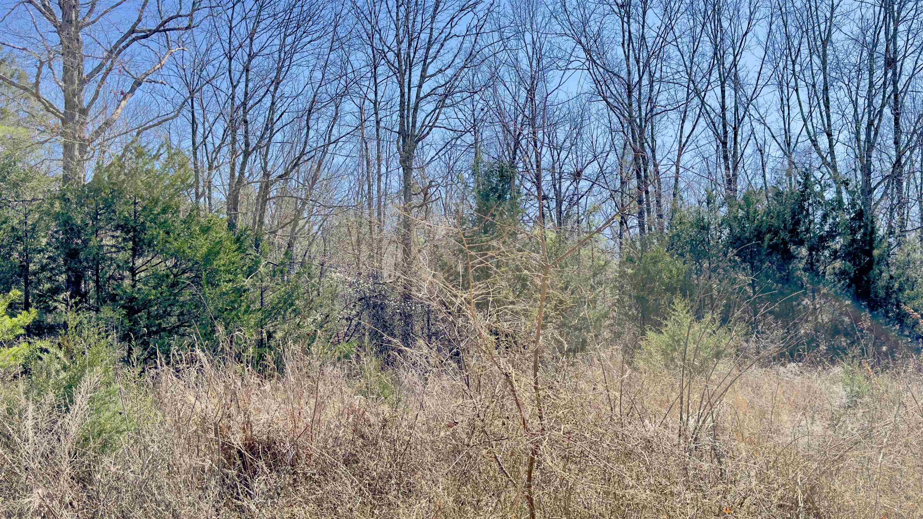 Photo 9 - Vacant Land for sale – 8  Red Lamb   Melbourne, AR