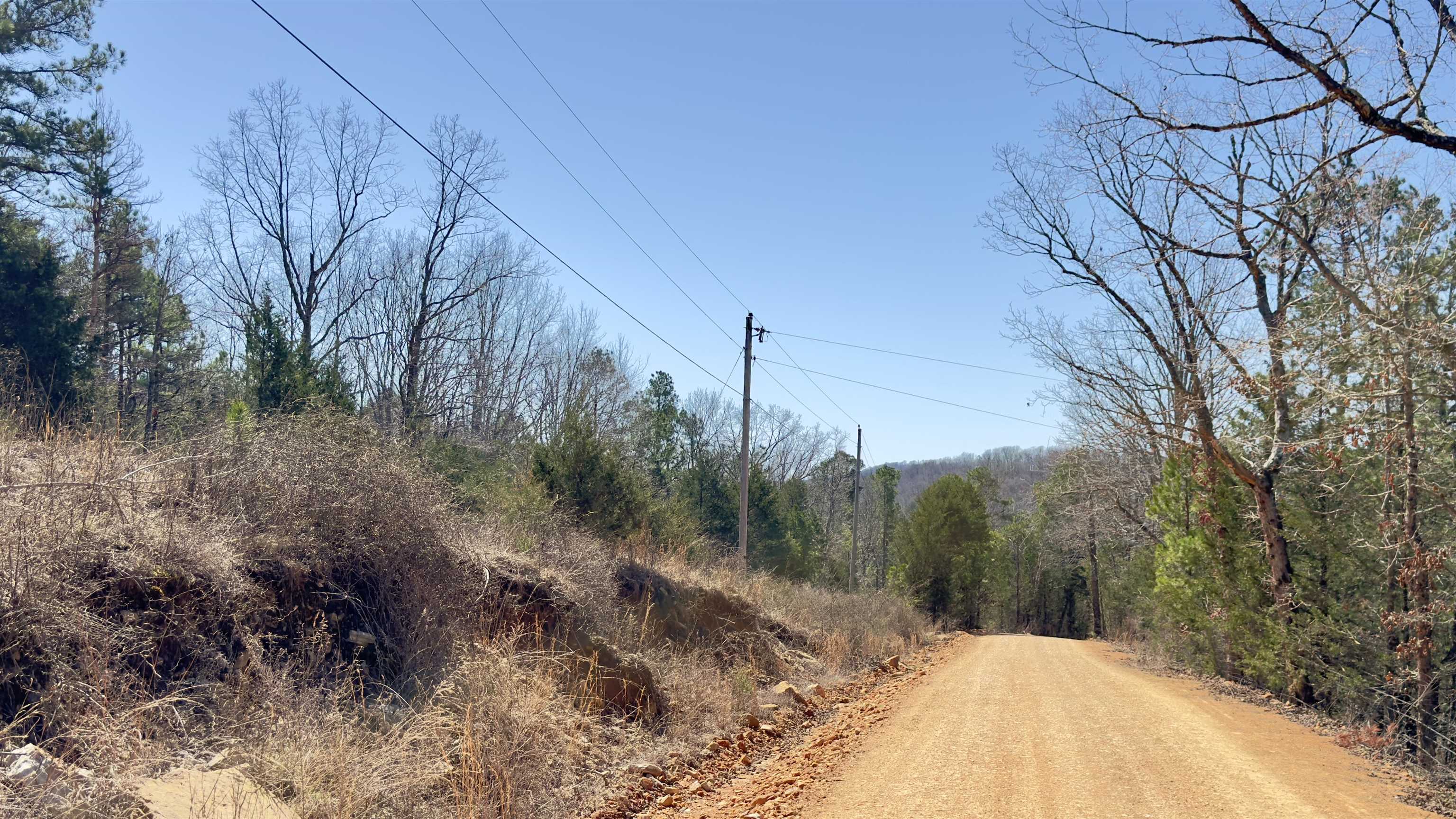 Photo 10 - Vacant Land for sale – 8  Red Lamb   Melbourne, AR