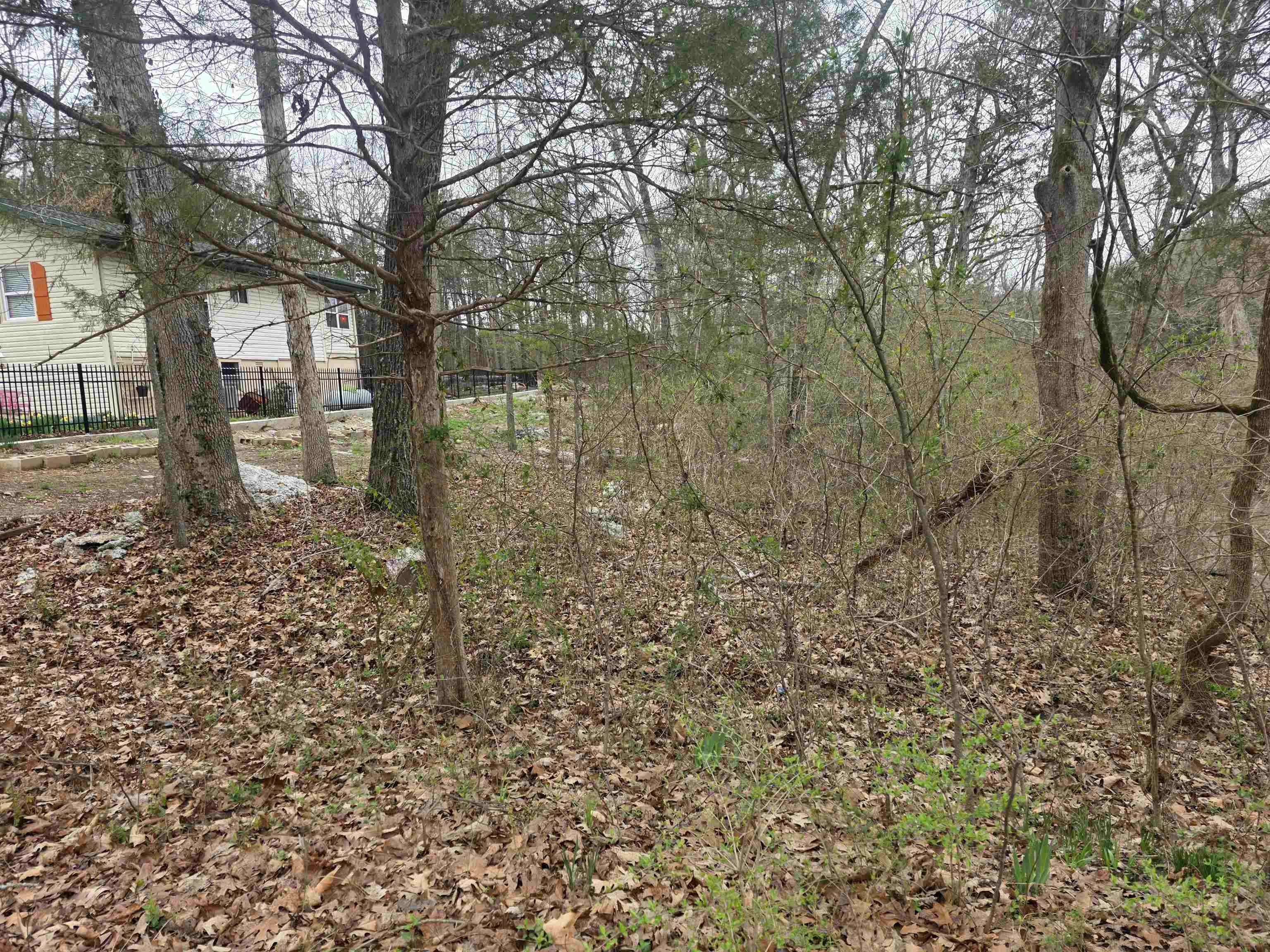 Photo 11 - Vacant Land for sale – L95 B5  Walla Walla   Cherokee Village, AR