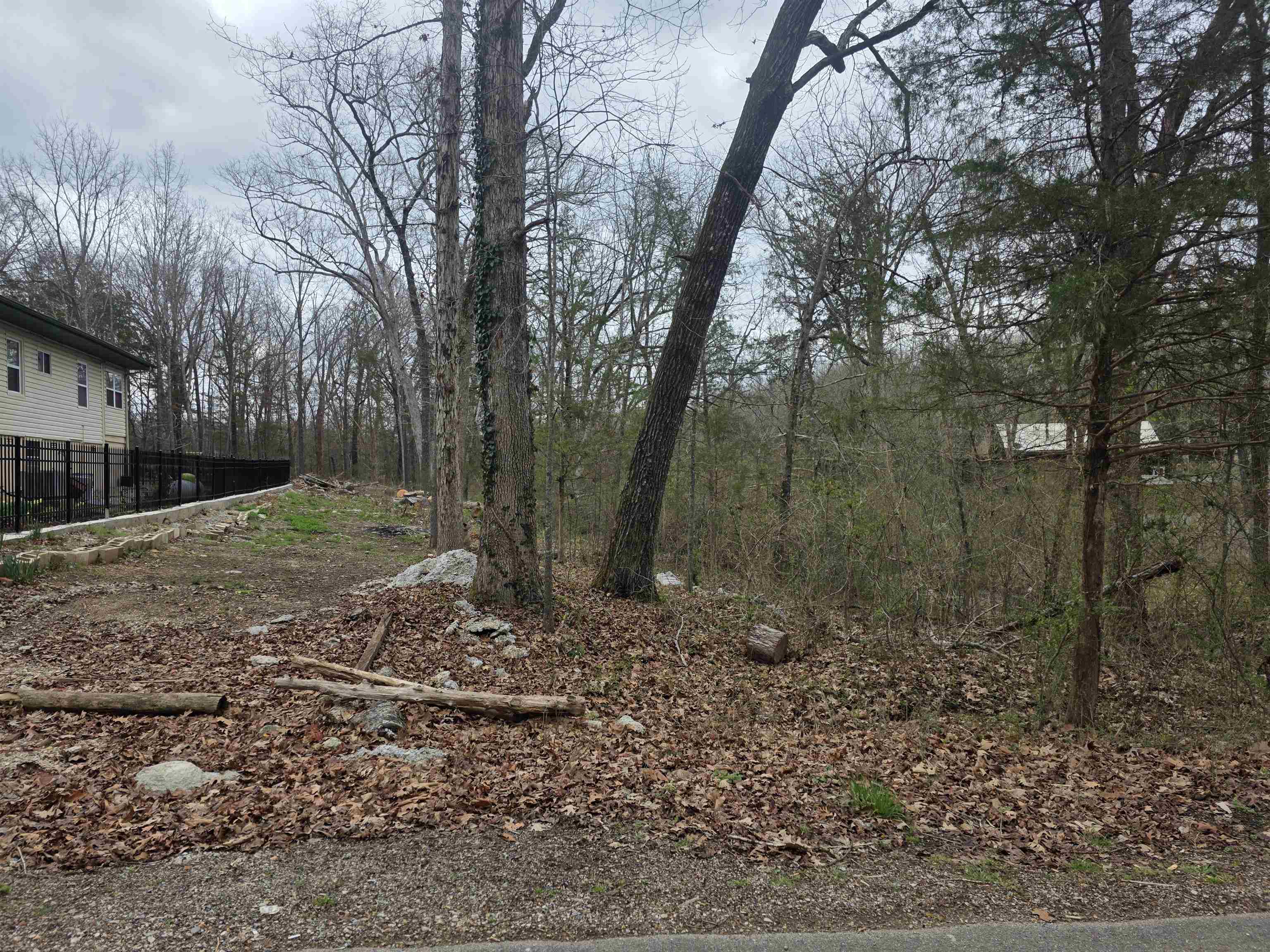 Photo 3 - Vacant Land for sale – L95 B5  Walla Walla   Cherokee Village, AR