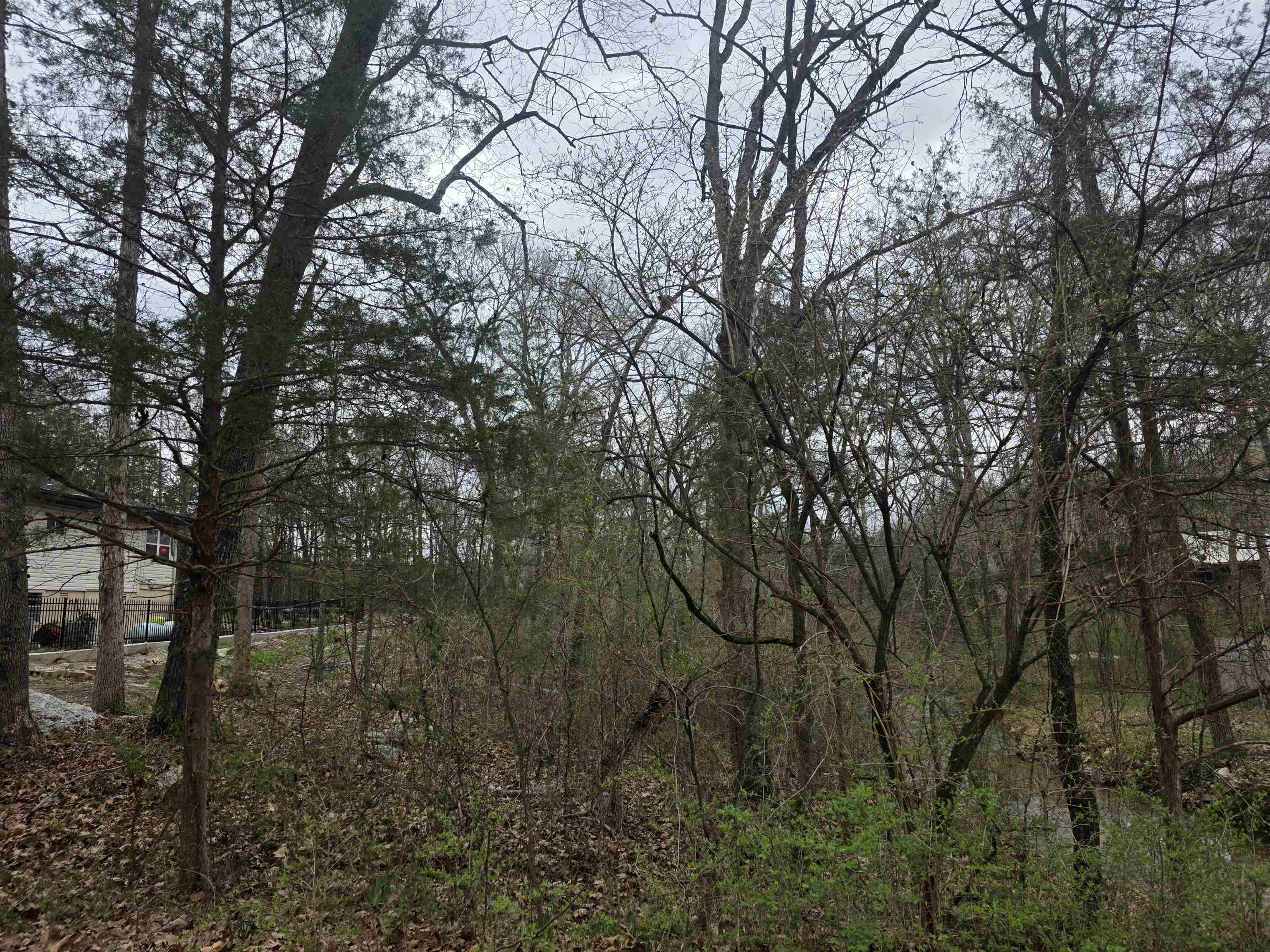 Photo 6 - Vacant Land for sale – L95 B5  Walla Walla   Cherokee Village, AR