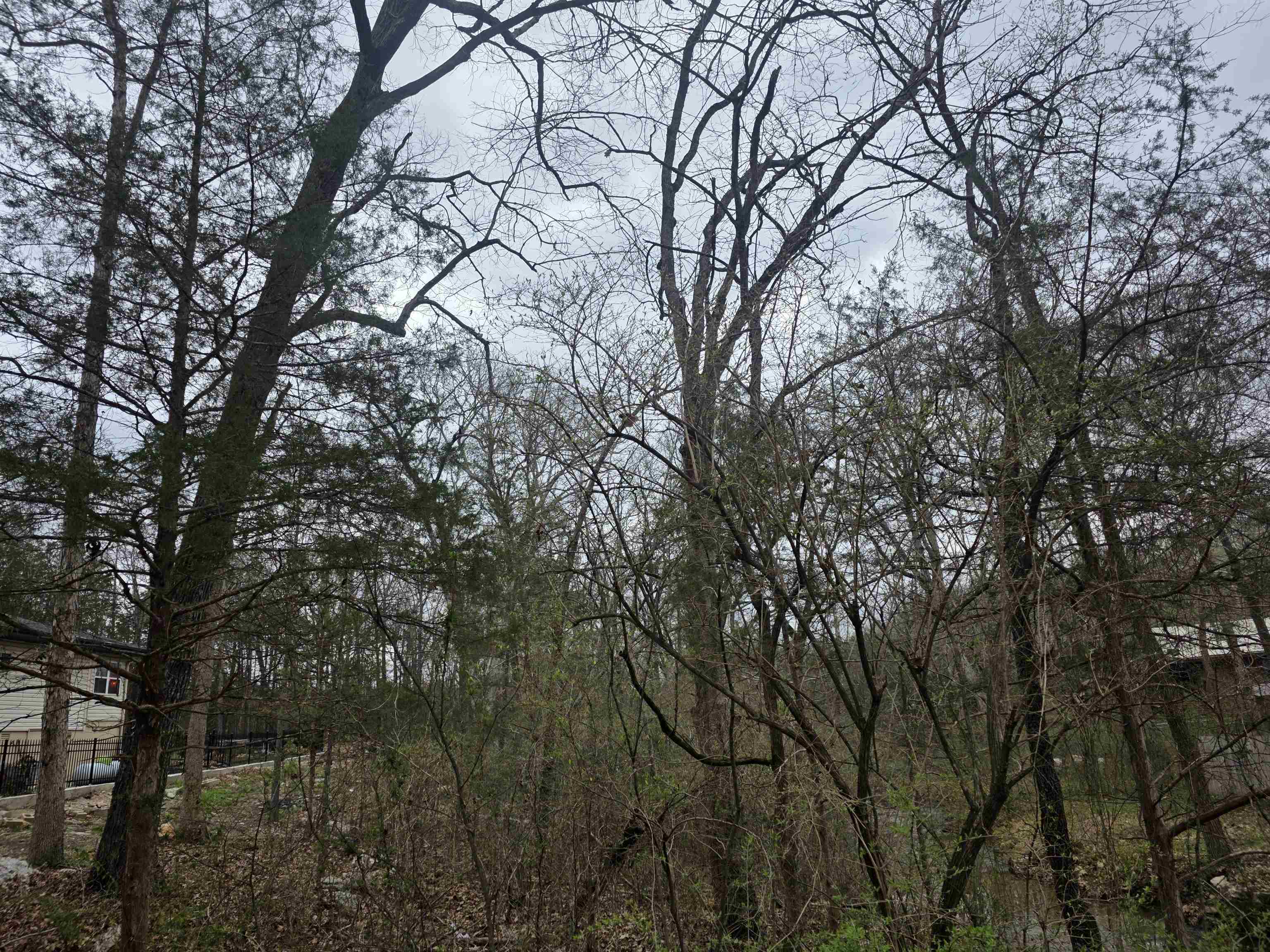 Photo 7 - Vacant Land for sale – L95 B5  Walla Walla   Cherokee Village, AR