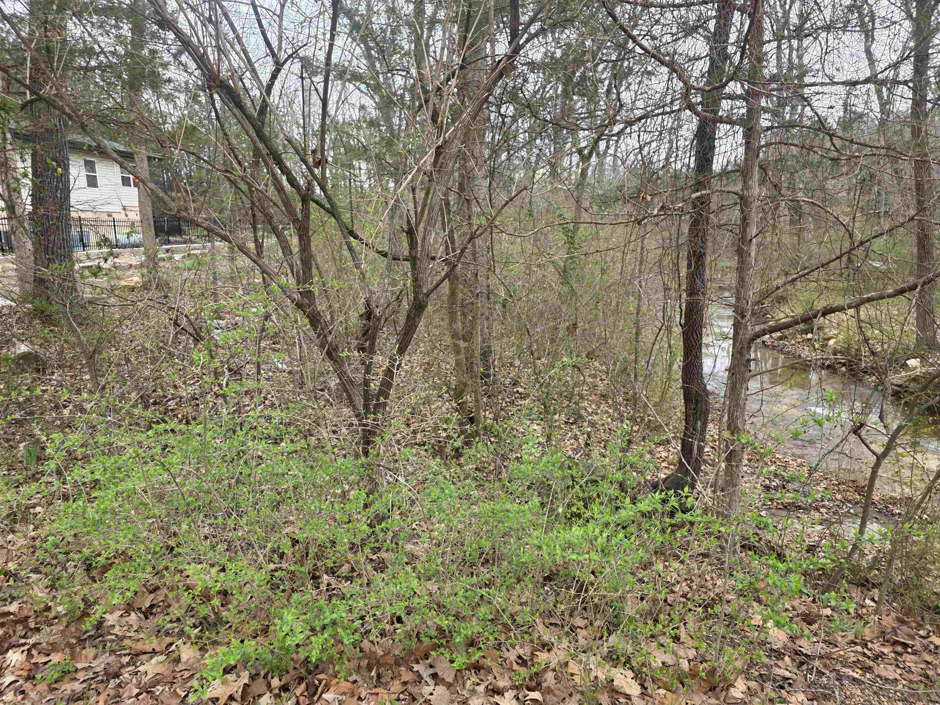 Photo 10 - Vacant Land for sale – L95 B5  Walla Walla   Cherokee Village, AR