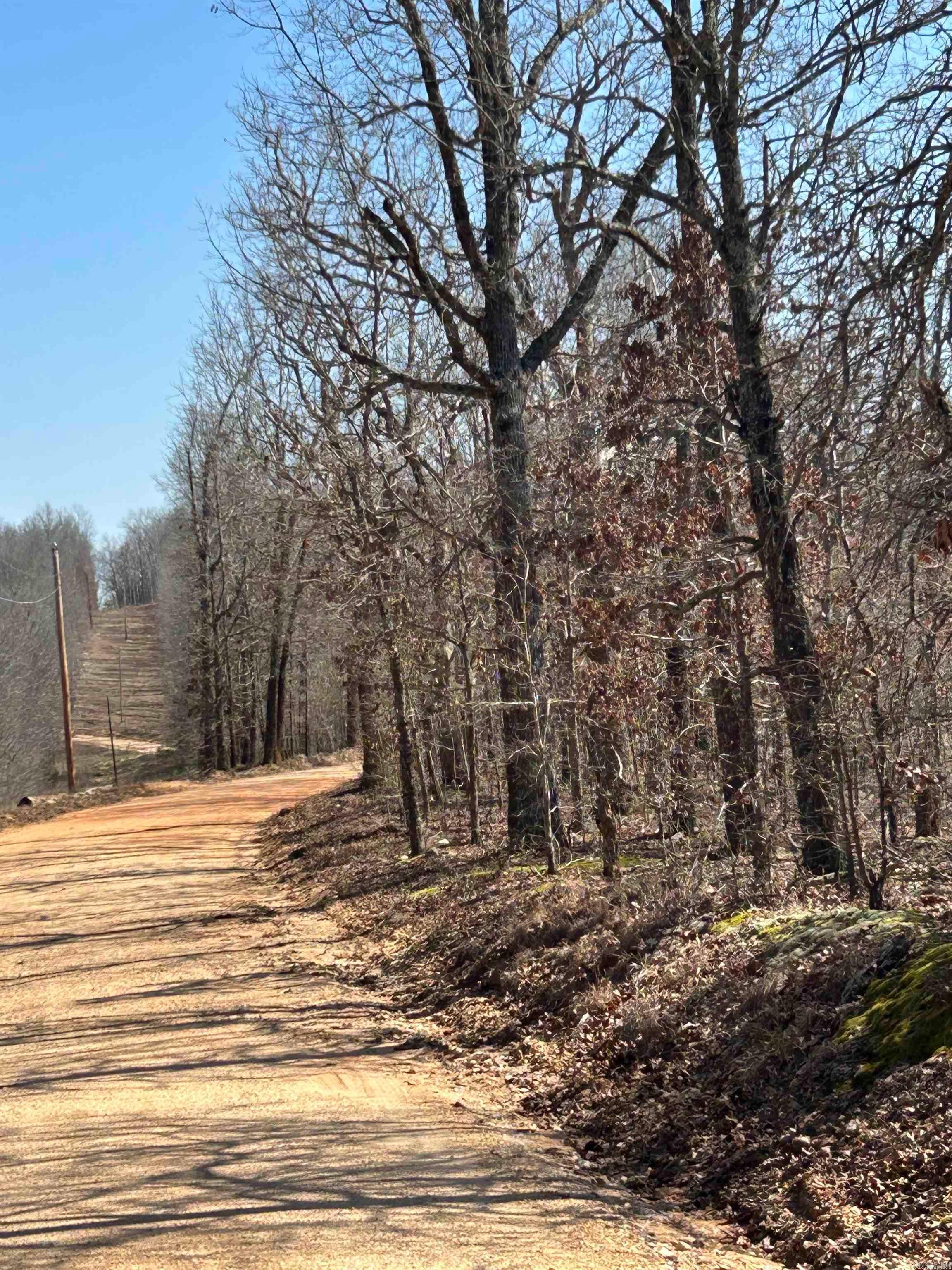 Photo 2 - Vacant Land for sale – 71 Acres  McFadden & Springwood   Hardy, AR