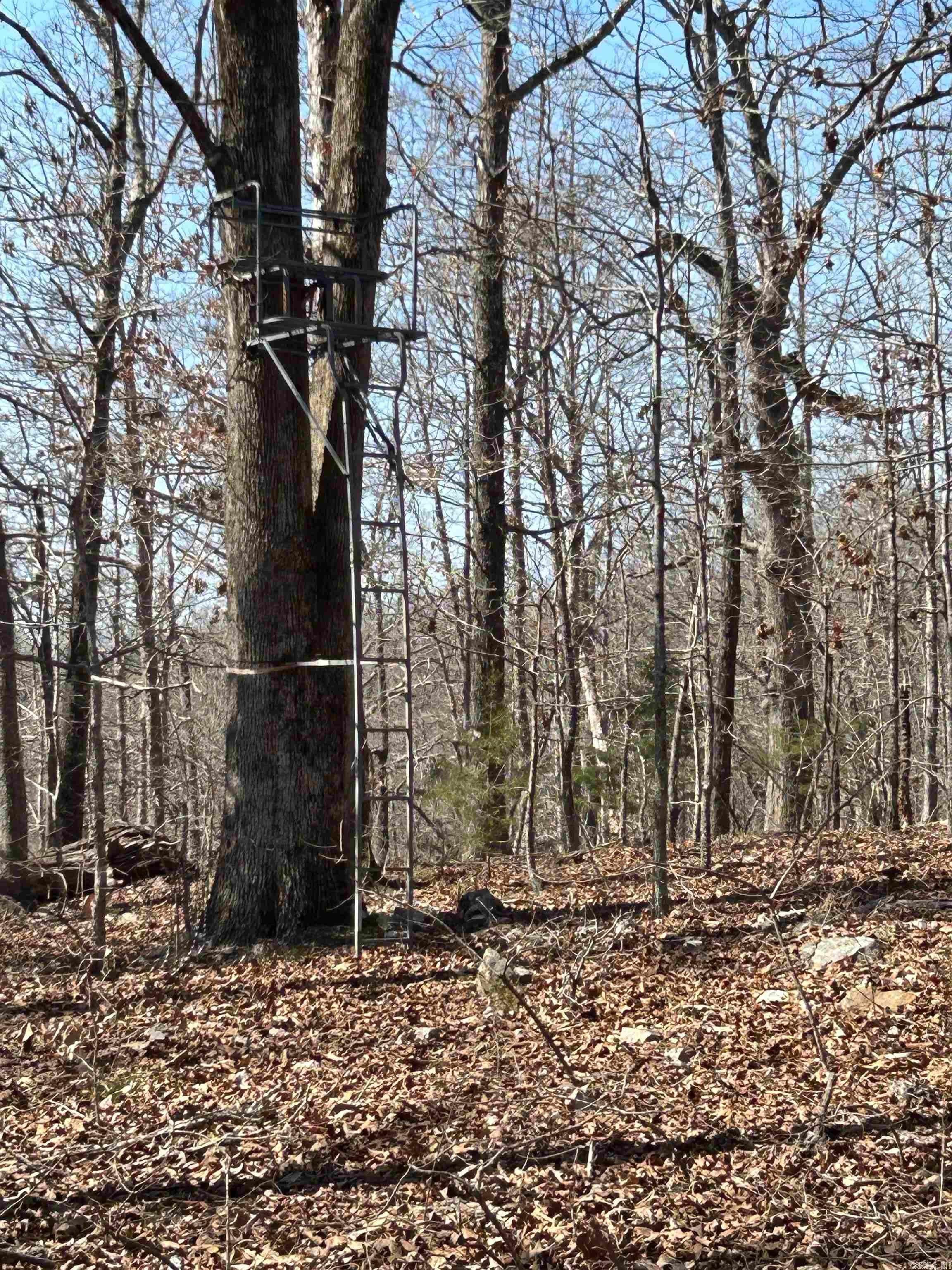 Photo 11 - Vacant Land for sale – 71 Acres  McFadden & Springwood   Hardy, AR