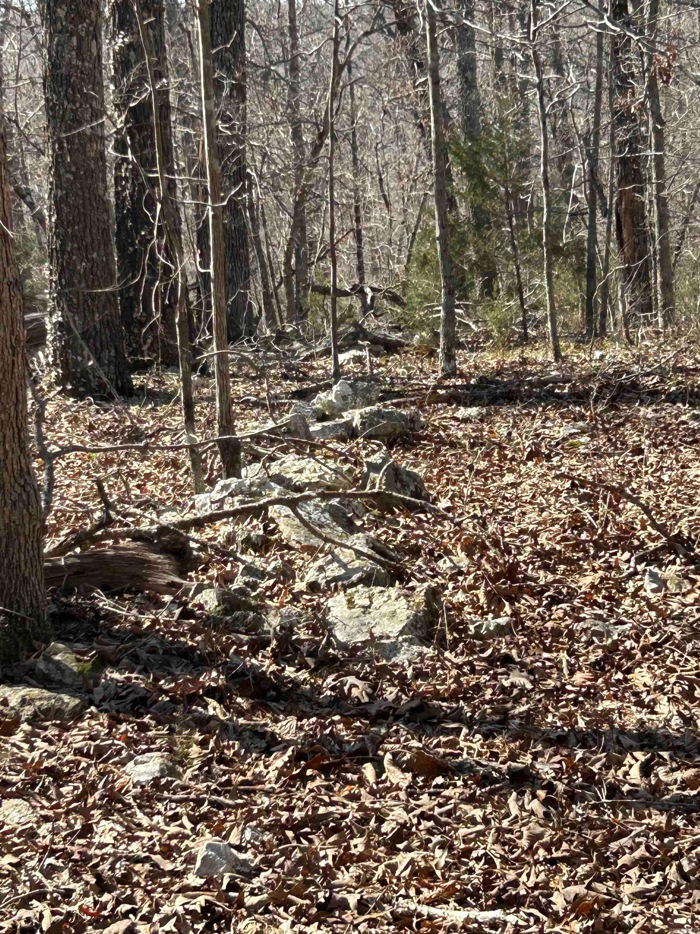 Photo 15 - Vacant Land for sale – 71 Acres  McFadden & Springwood   Hardy, AR