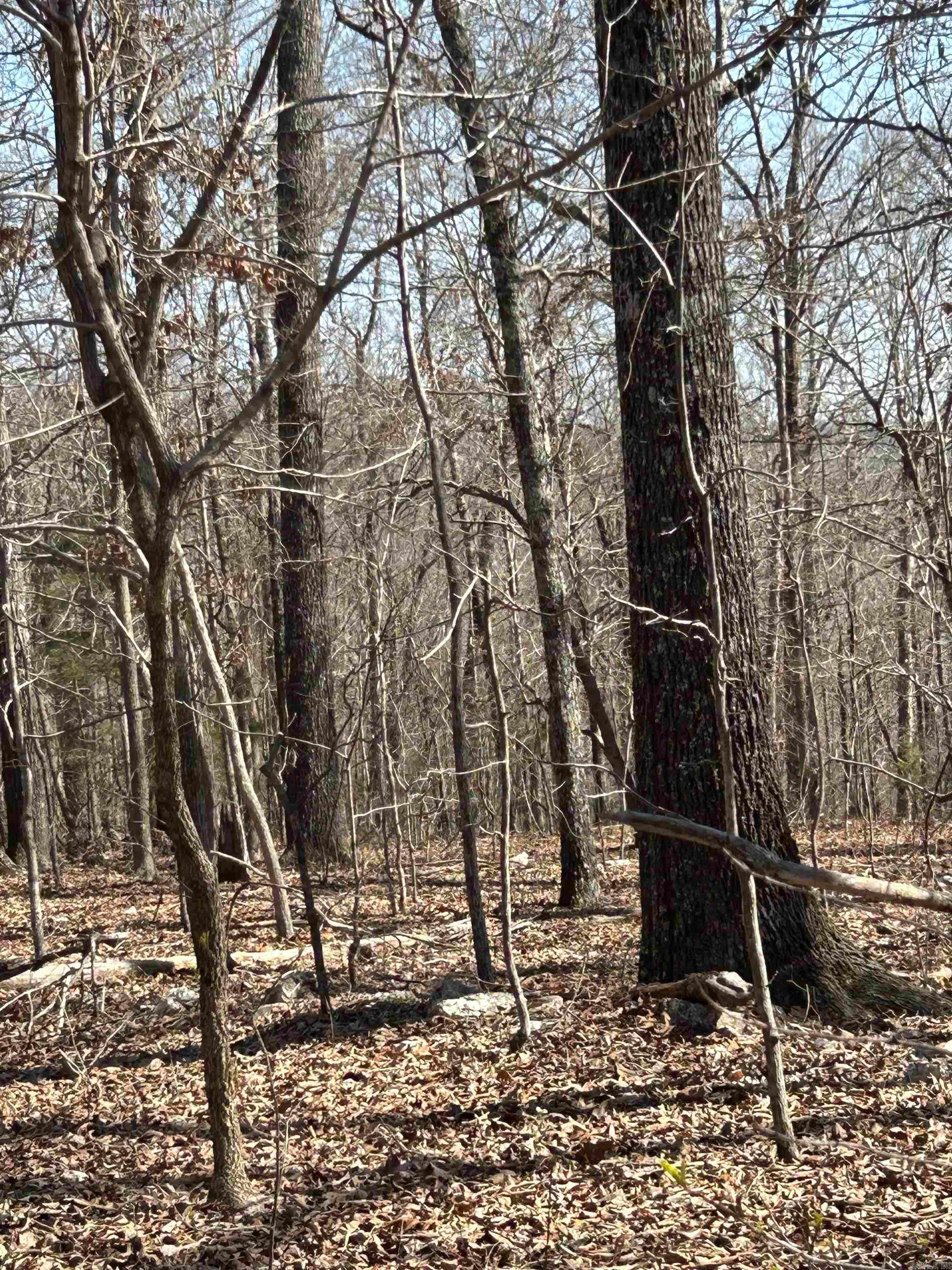 Photo 17 - Vacant Land for sale – 71 Acres  McFadden & Springwood   Hardy, AR