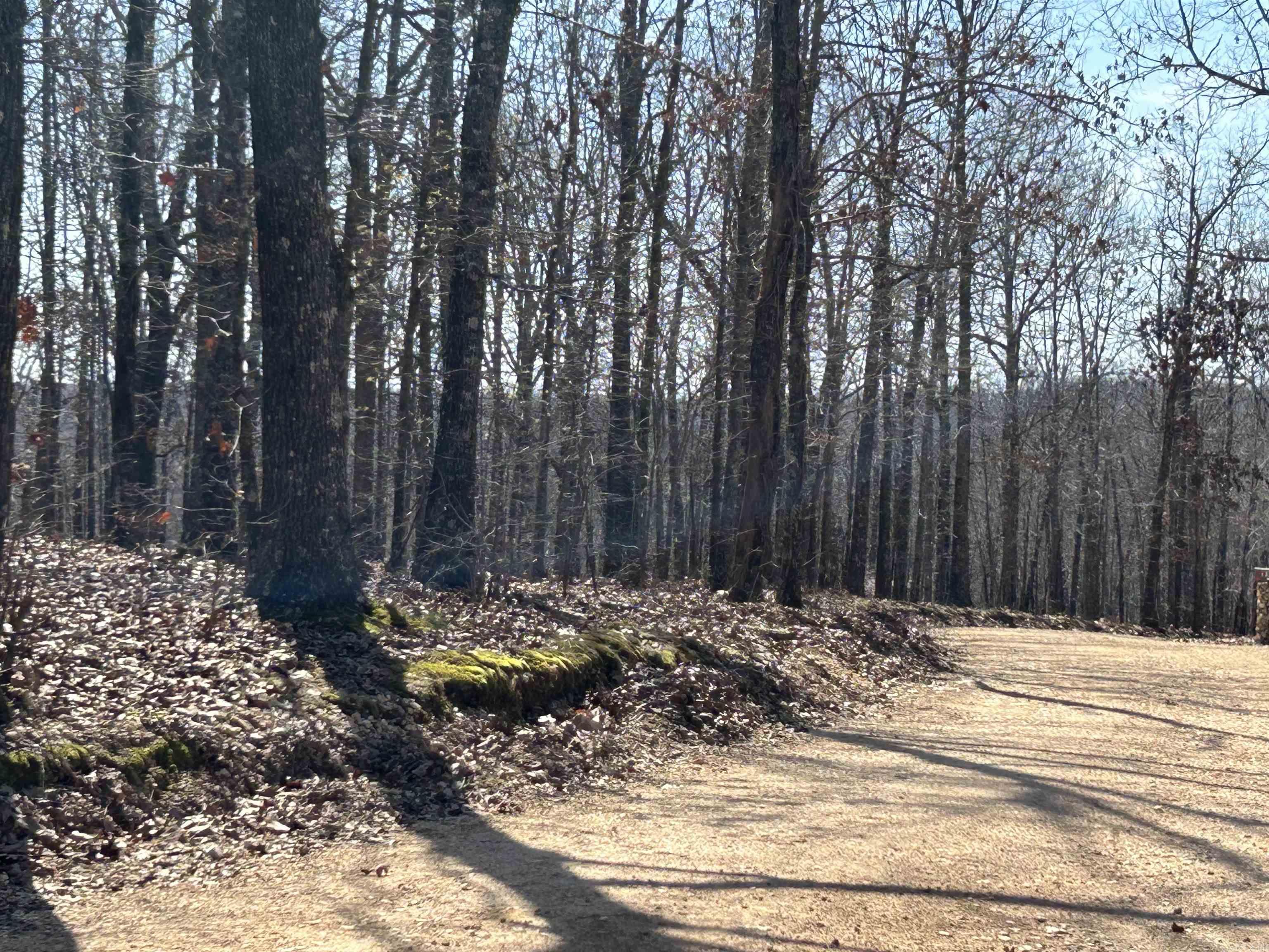 Photo 7 - Vacant Land for sale – 71 Acres  McFadden & Springwood   Hardy, AR