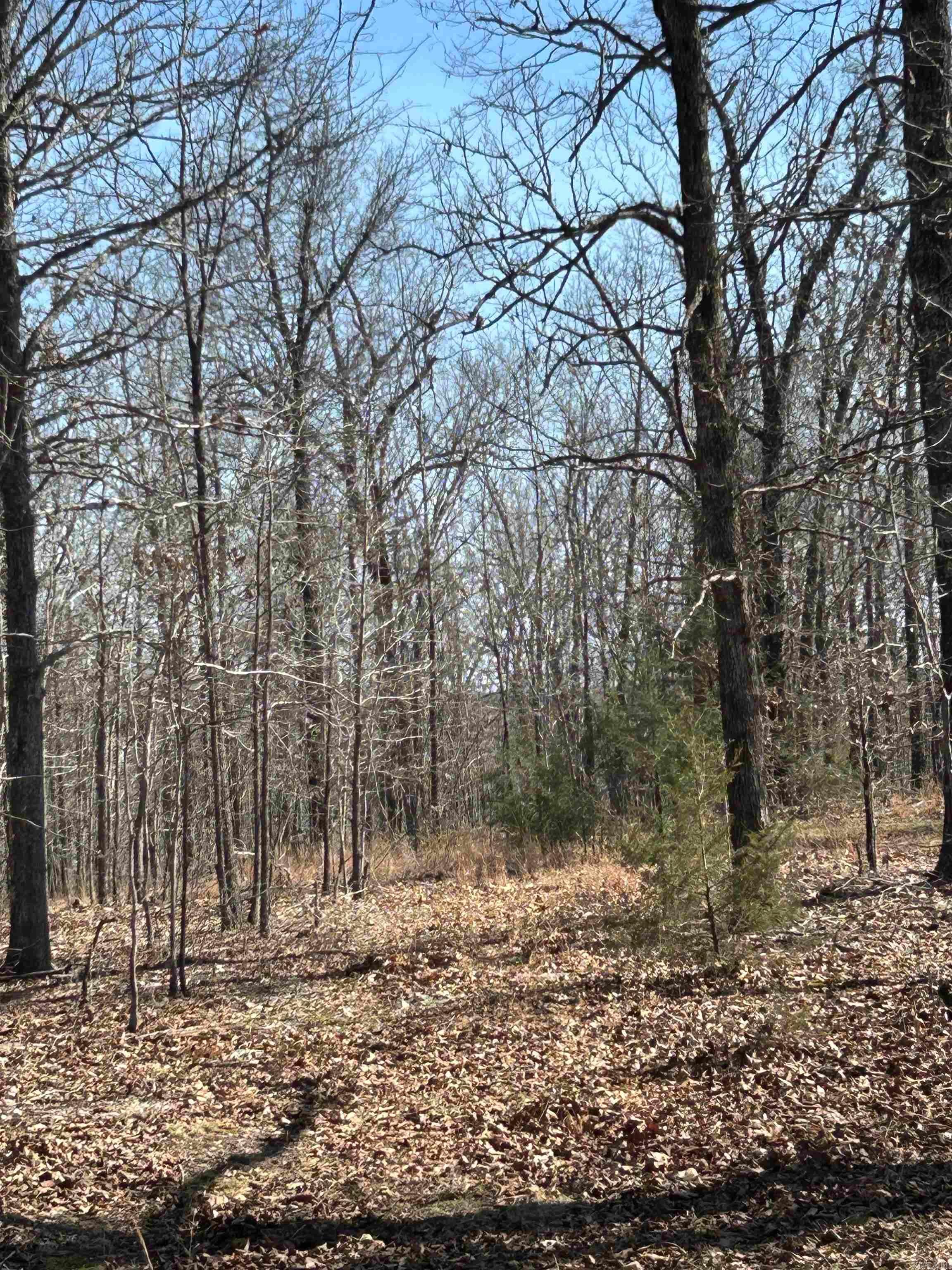 Photo 9 - Vacant Land for sale – 71 Acres  McFadden & Springwood   Hardy, AR