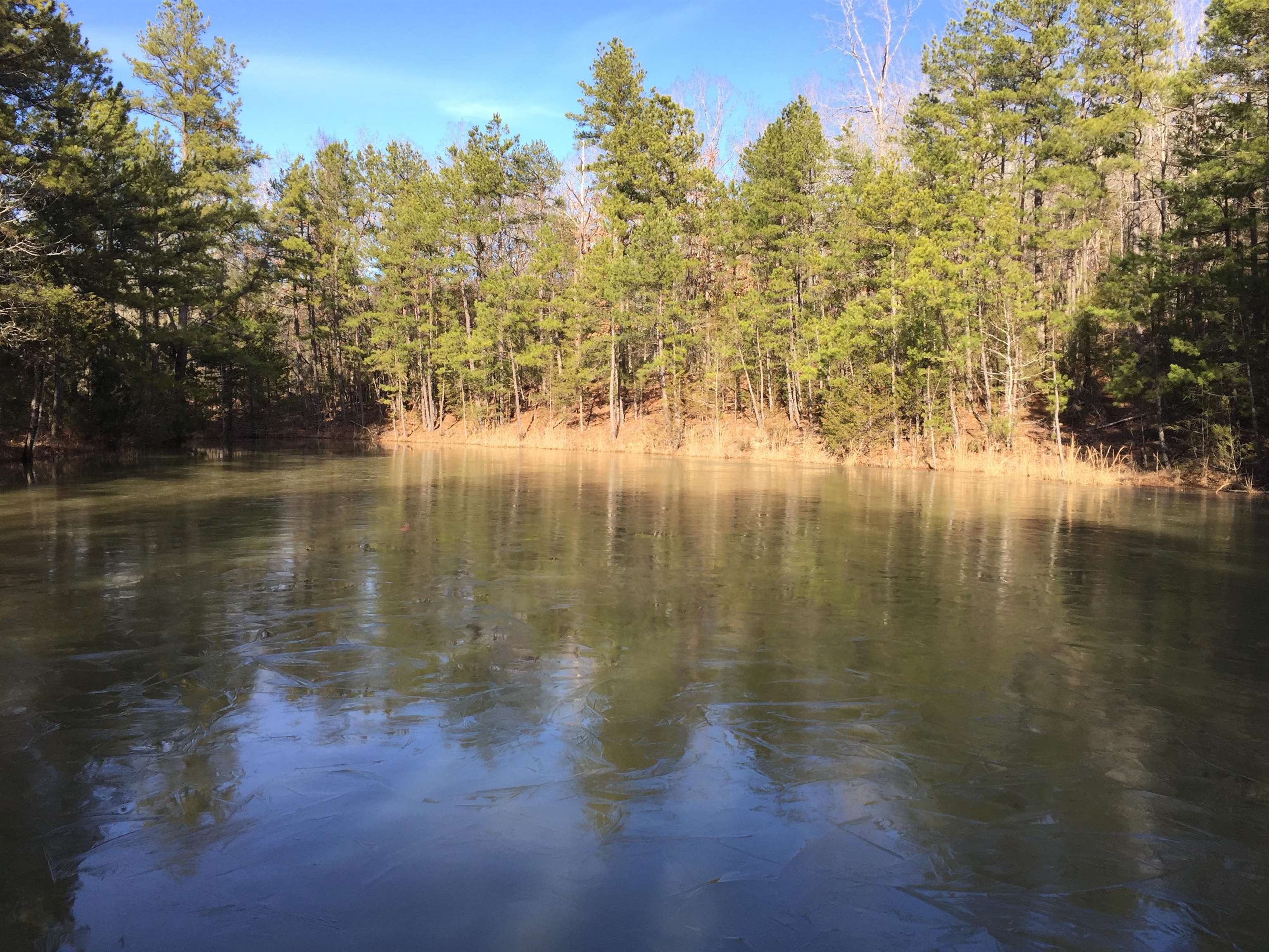 Photo 2 - Vacant Land for sale – 22  Red Lamb   Melbourne, AR