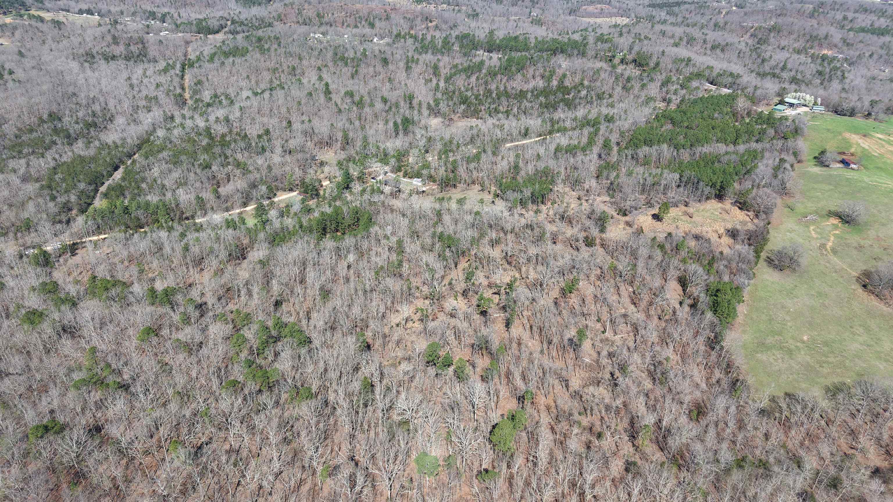 Photo 12 - Vacant Land for sale – 22  Red Lamb   Melbourne, AR