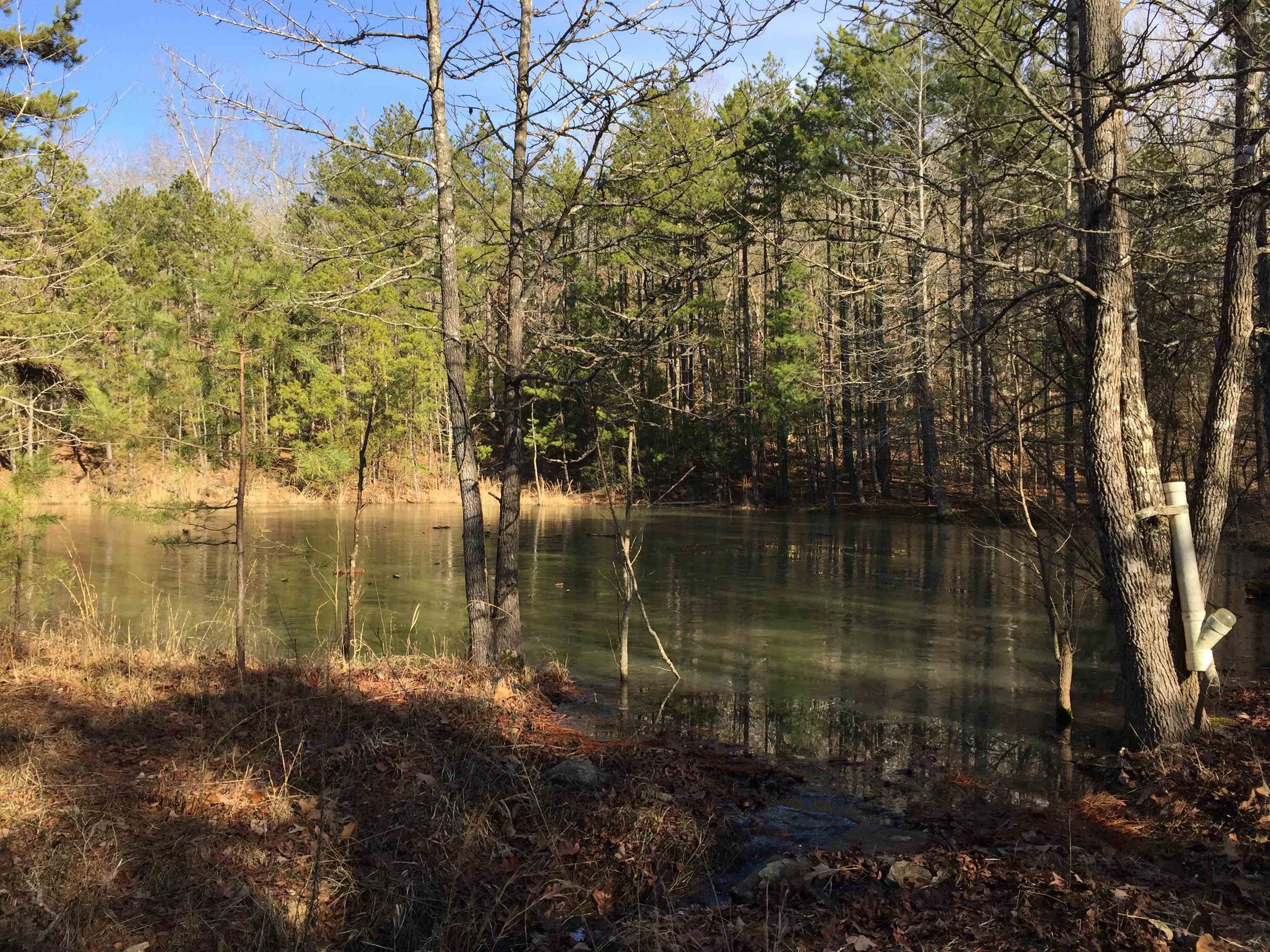 Photo 13 - Vacant Land for sale – 22  Red Lamb   Melbourne, AR