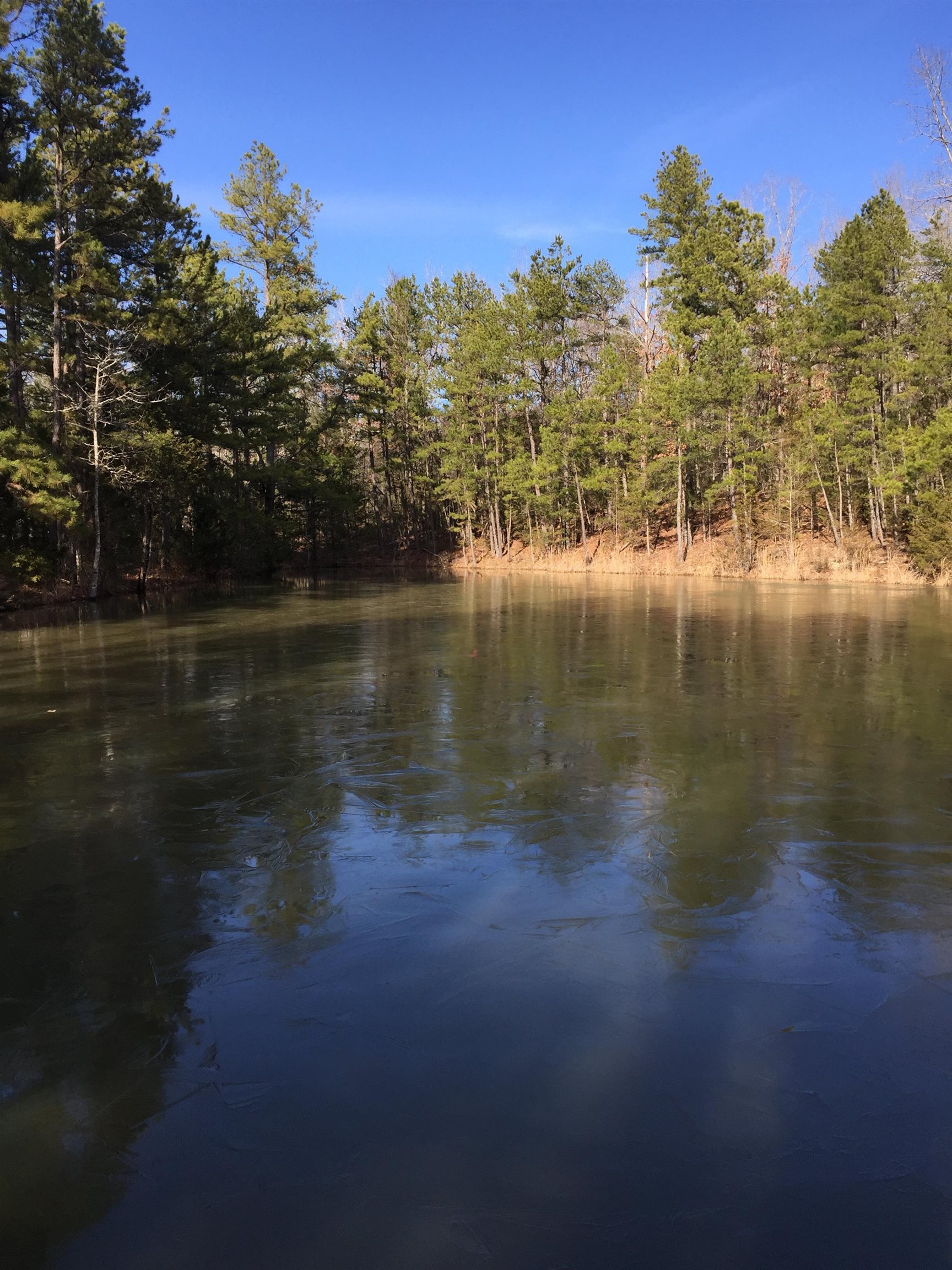 Photo 14 - Vacant Land for sale – 22  Red Lamb   Melbourne, AR