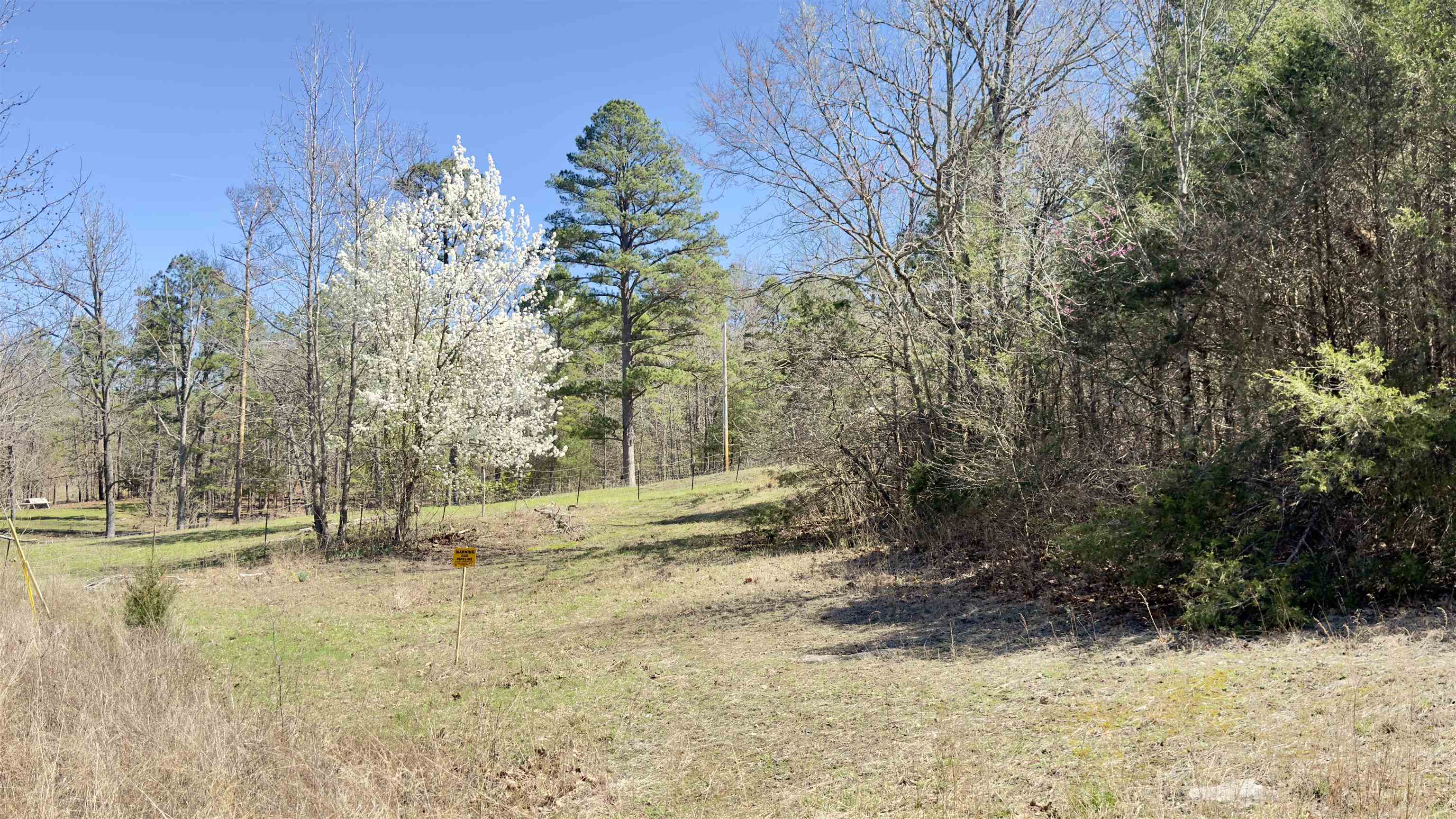 Photo 3 - Vacant Land for sale – 22  Red Lamb   Melbourne, AR