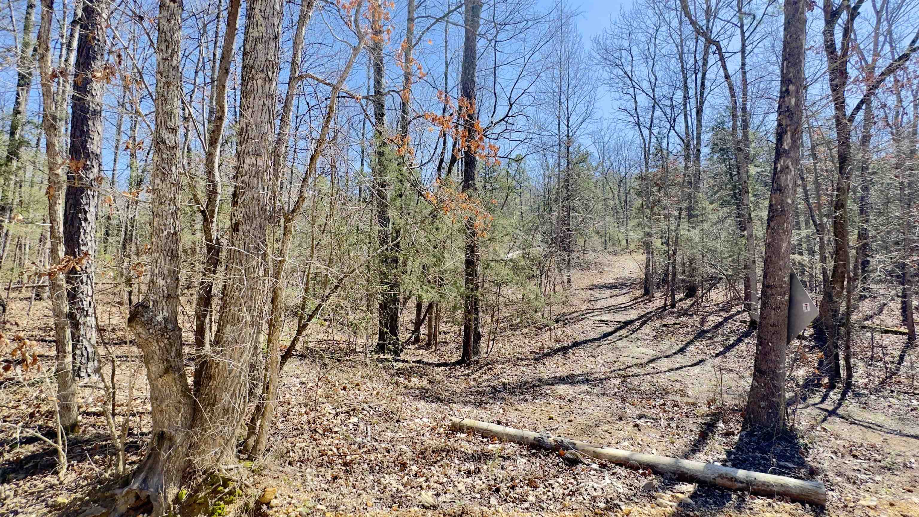 Photo 4 - Vacant Land for sale – 22  Red Lamb   Melbourne, AR